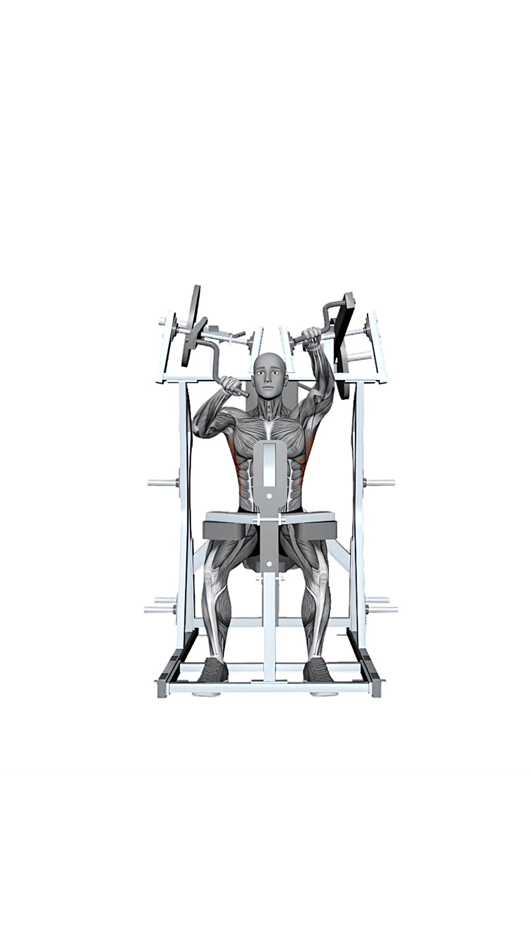 Hammer Strength Plate Loaded High Row Alternate Arms
