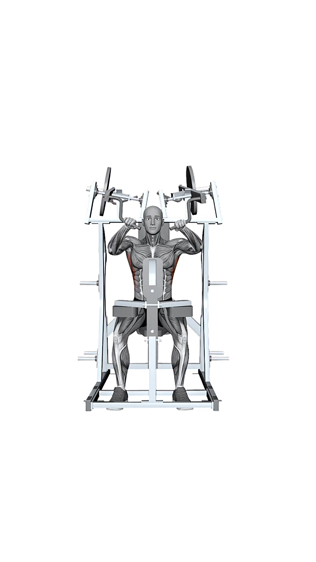 Hammer Strength Plate Loaded High Row Both Arms
