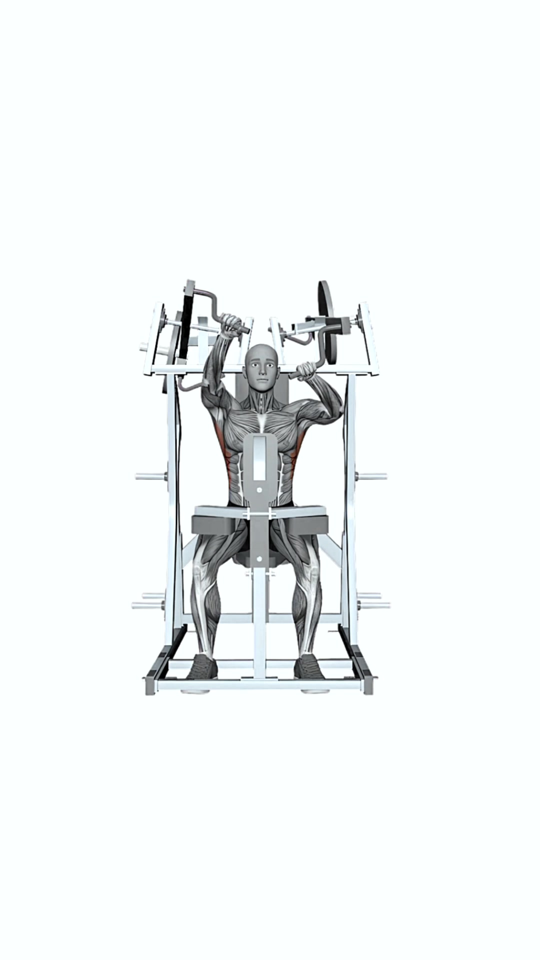 Hammer Strength Plate Loaded High Row Single Arm