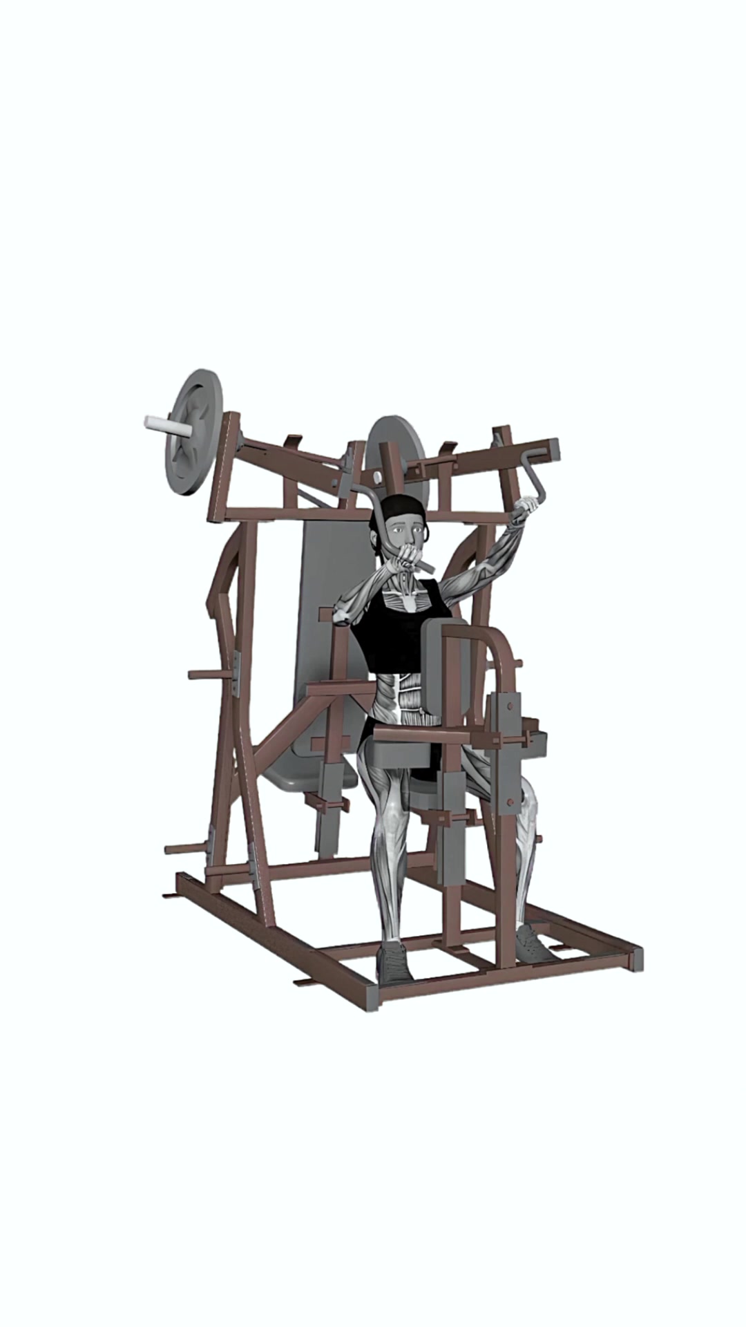 Hammer Strength Plate Loaded High Row Single Arms