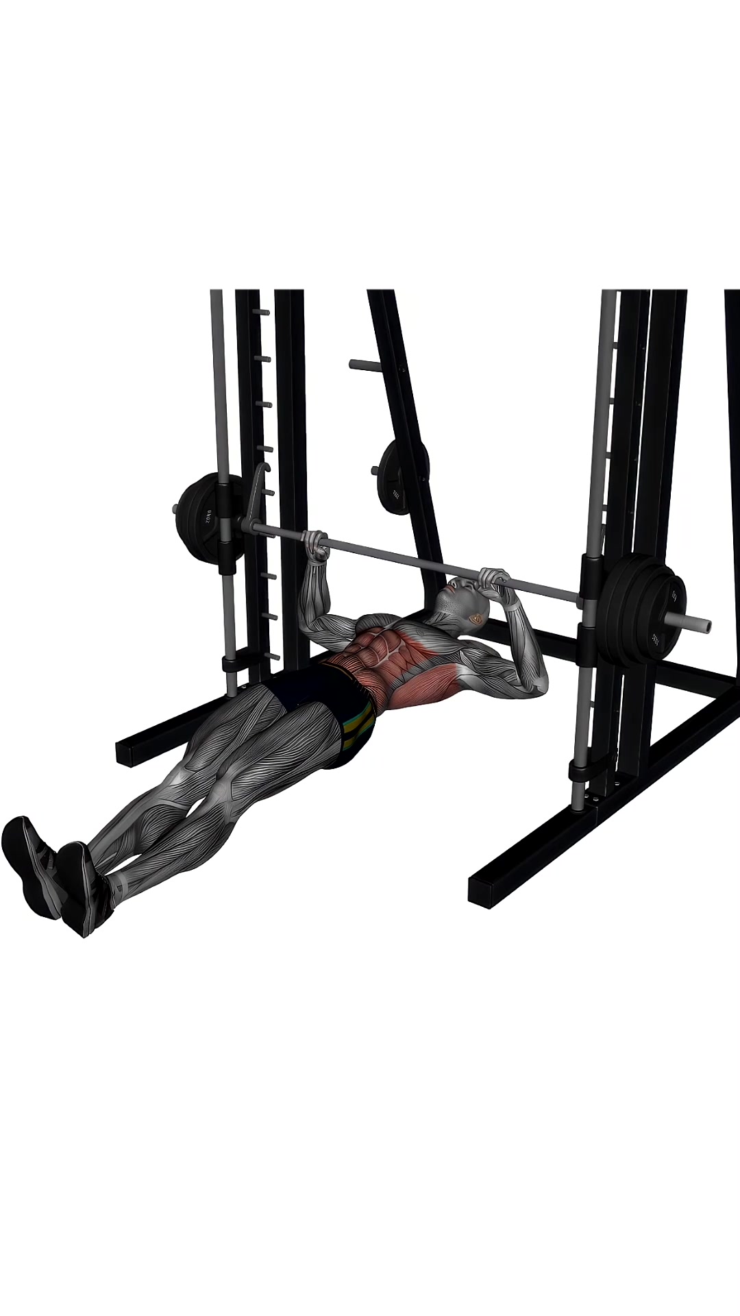Inverted Rows On Smith Machine