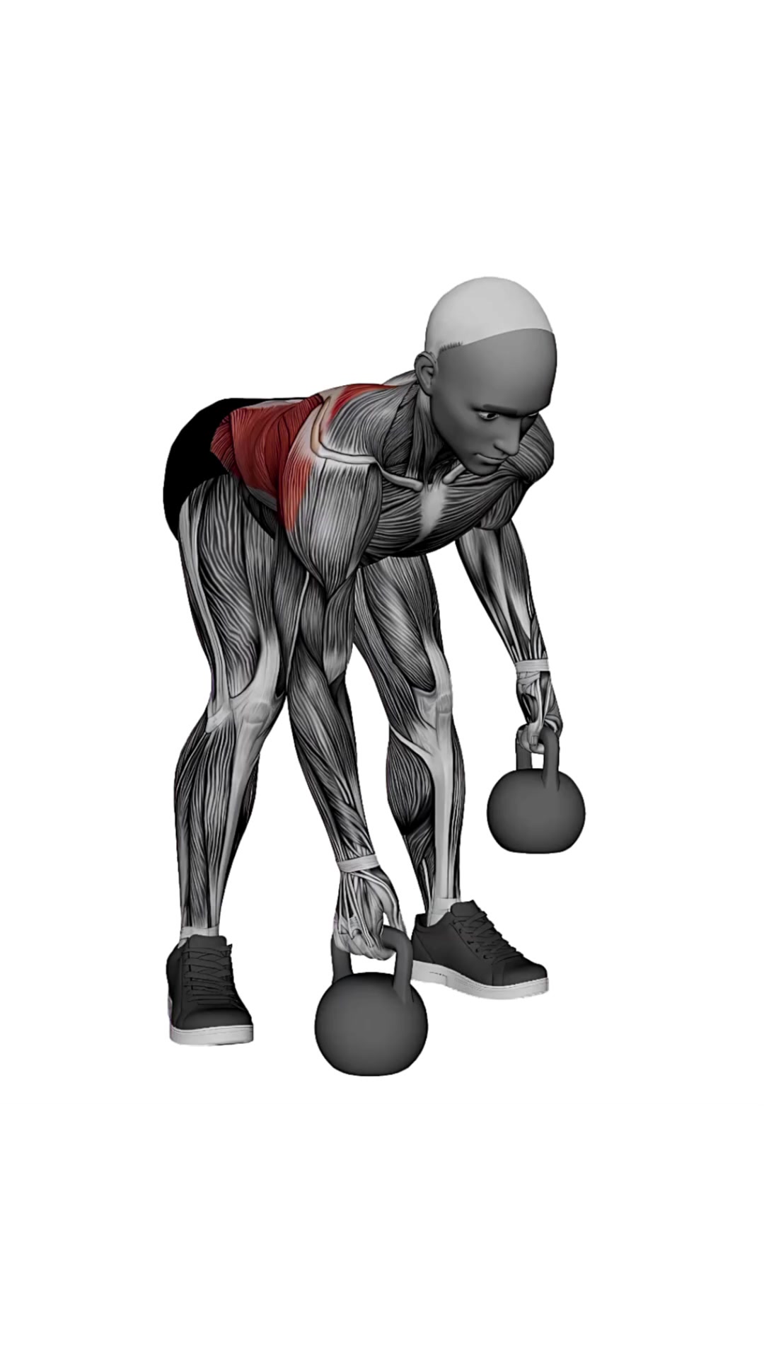 Kettlebell Gorilla Row