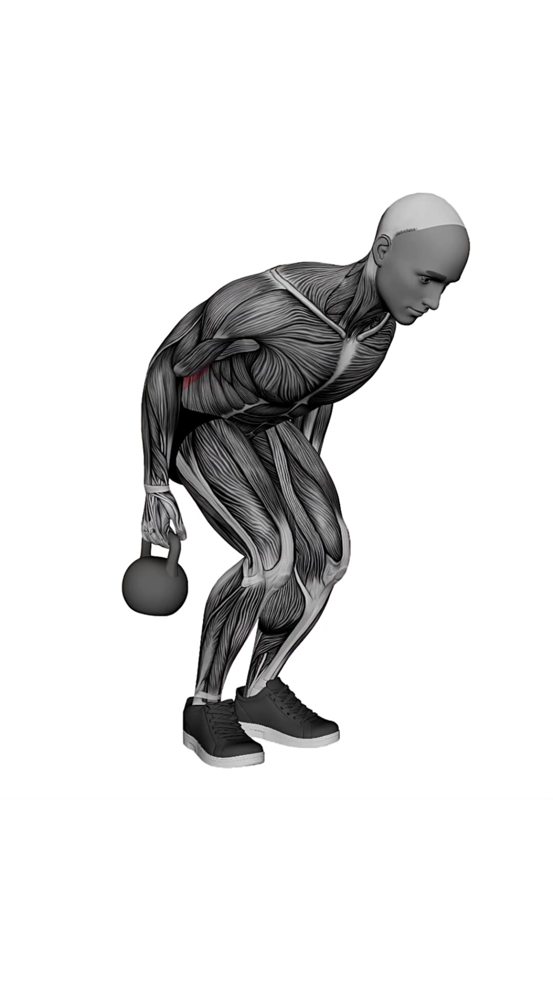 Kettlebell Row