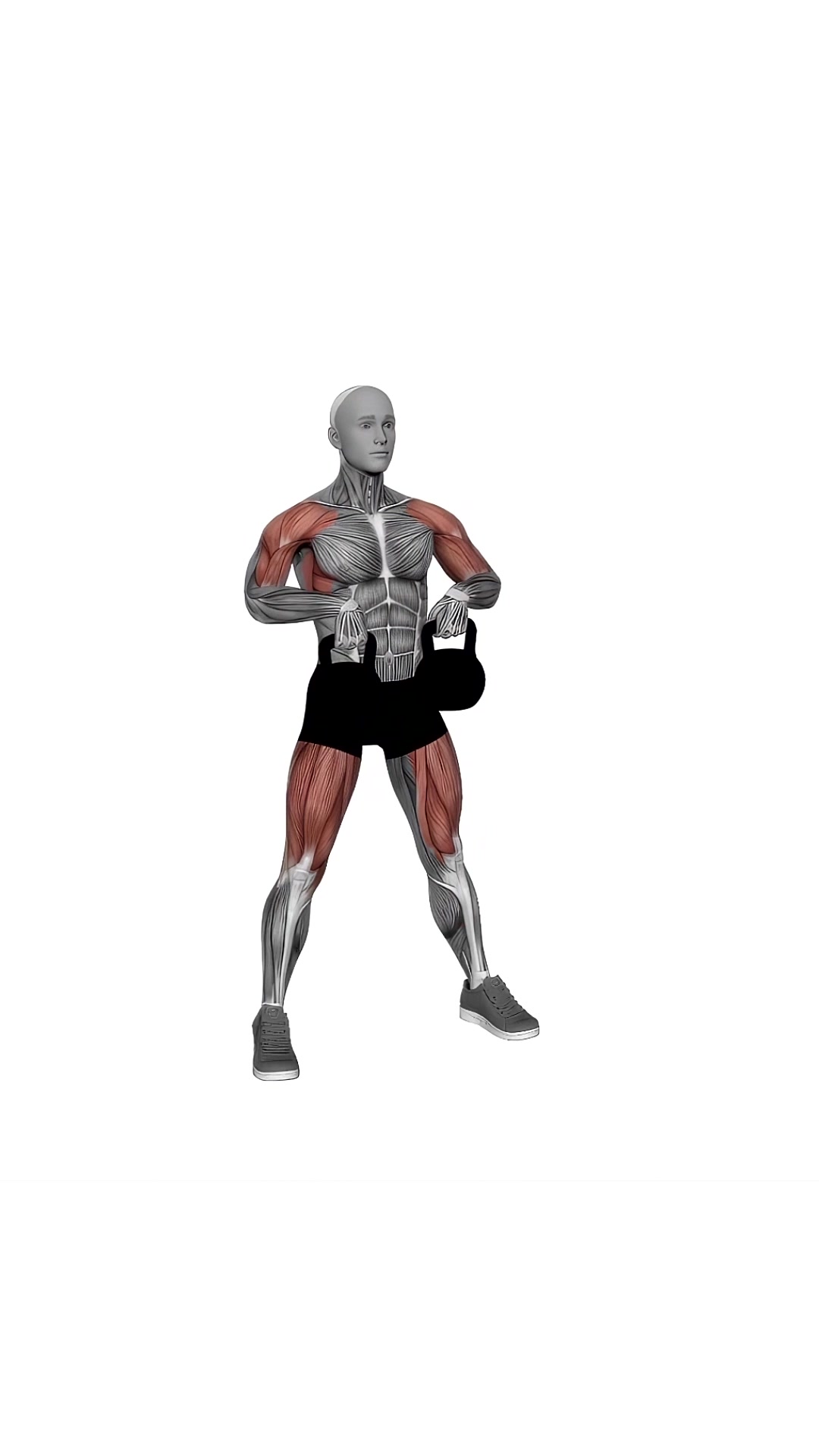 Kettlebells Sumo Deadlift With High Pull