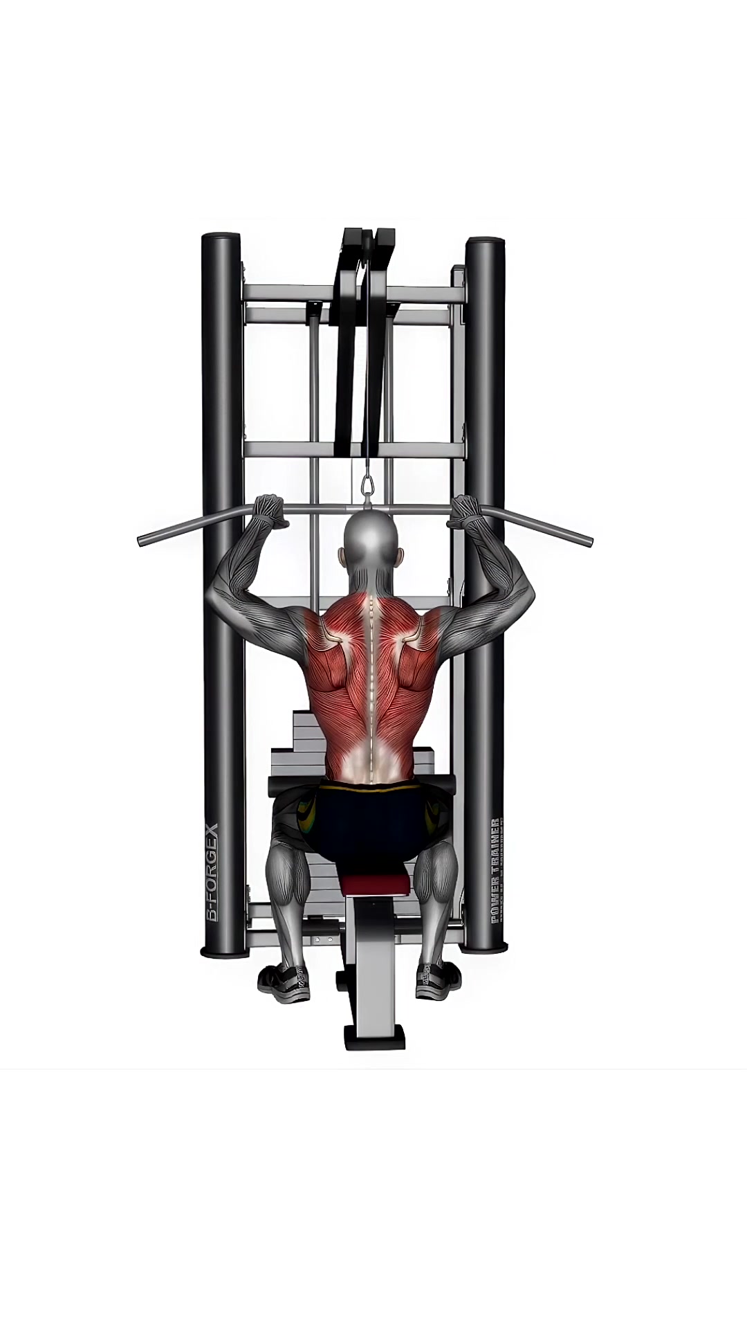 Lat Pull Down Close Grip