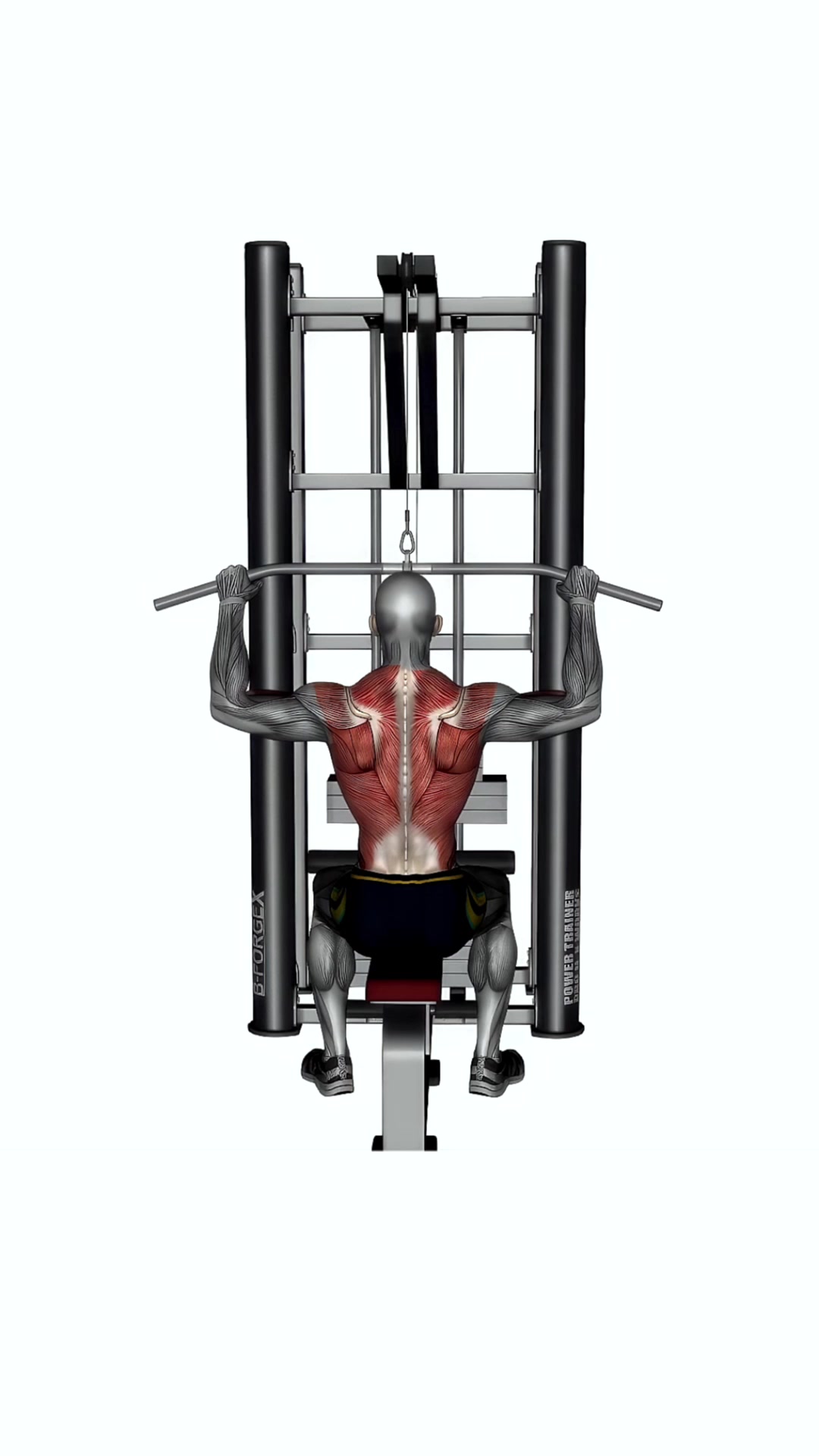 Lat Pull Down Normal Grip