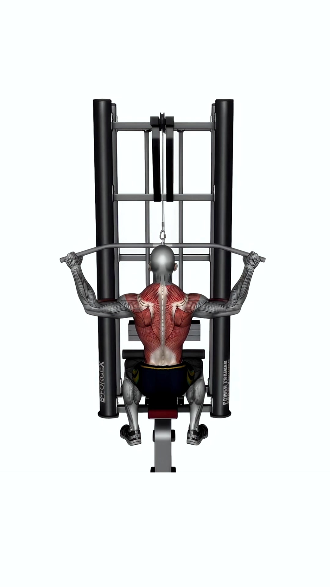 Lat Pull Down Wide Grip