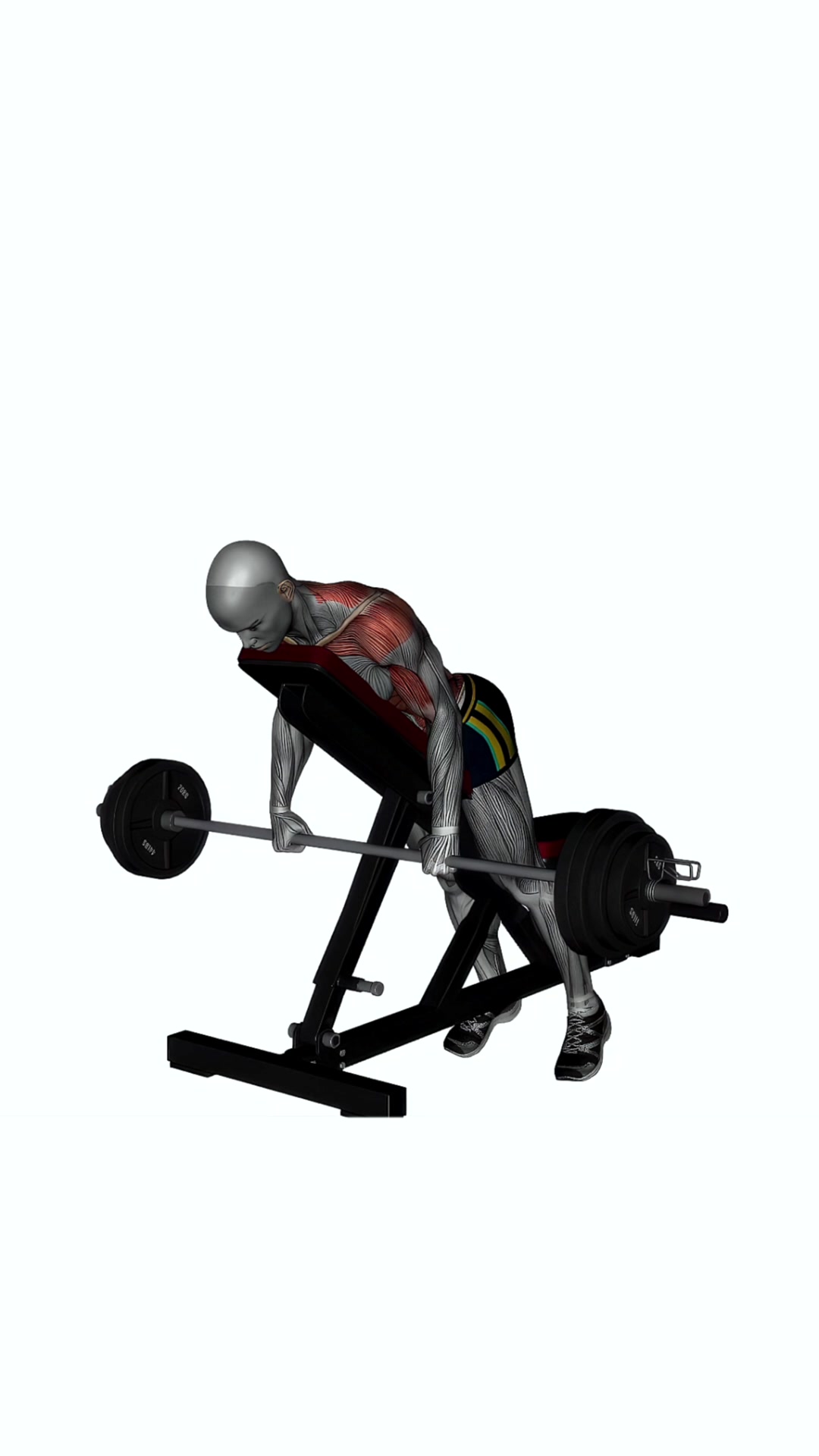 Prone Bench Row Barbell Pronate Grip