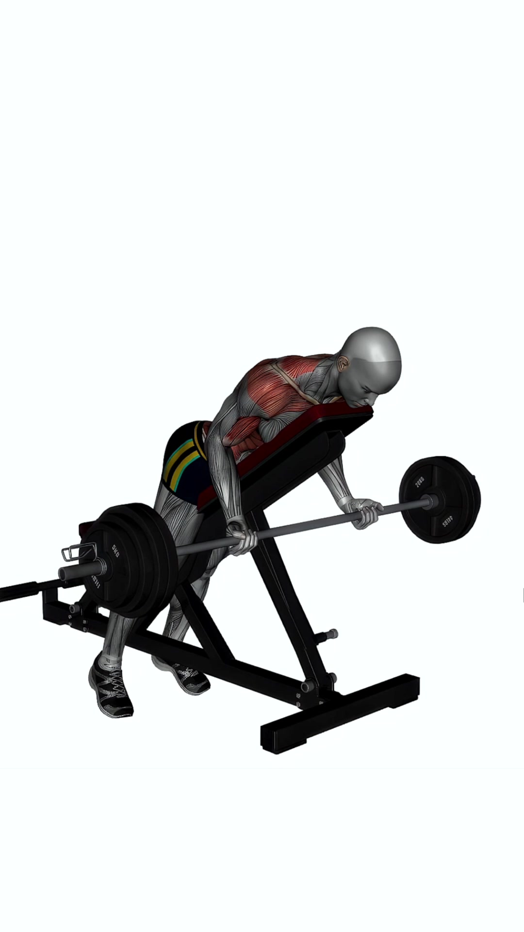 Prone Bench Row Barbell Reverse Grip