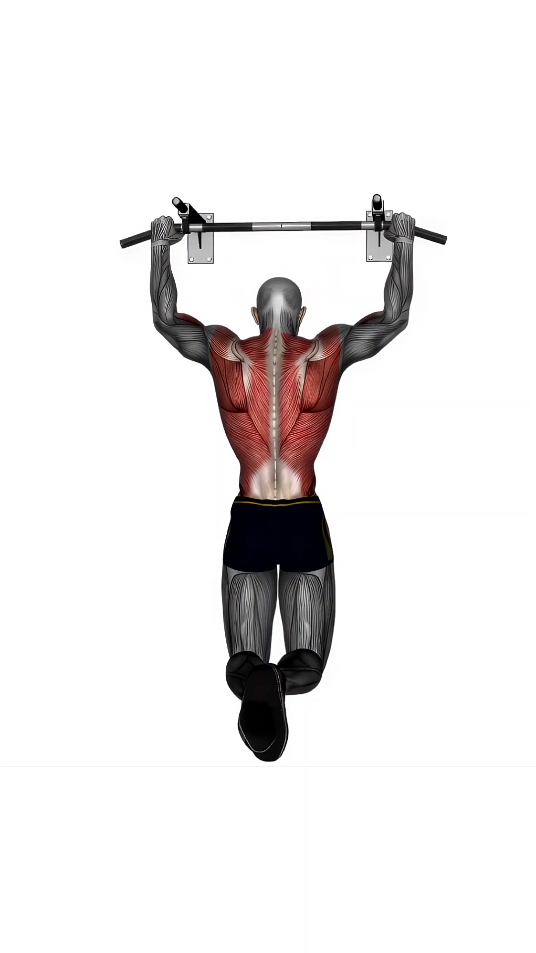 Pull Up Normal Grip
