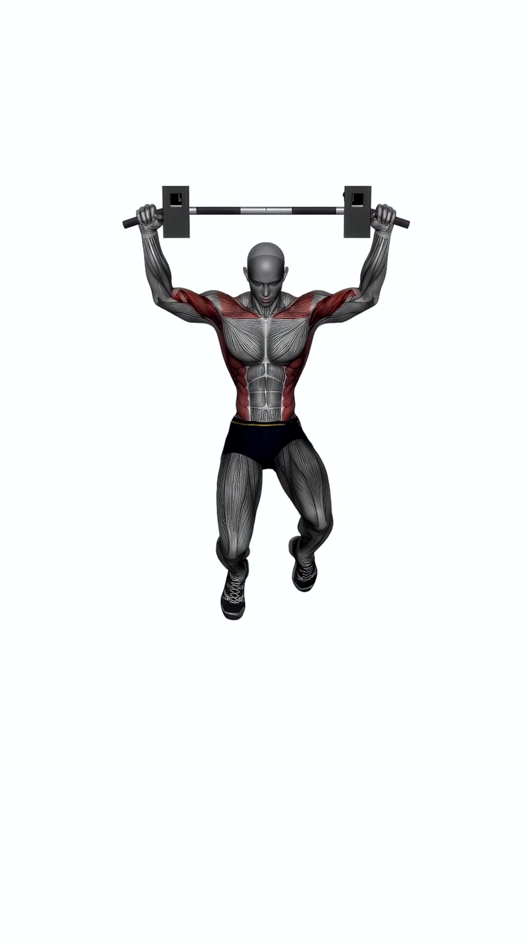 Pull Up Wide Grip Front View