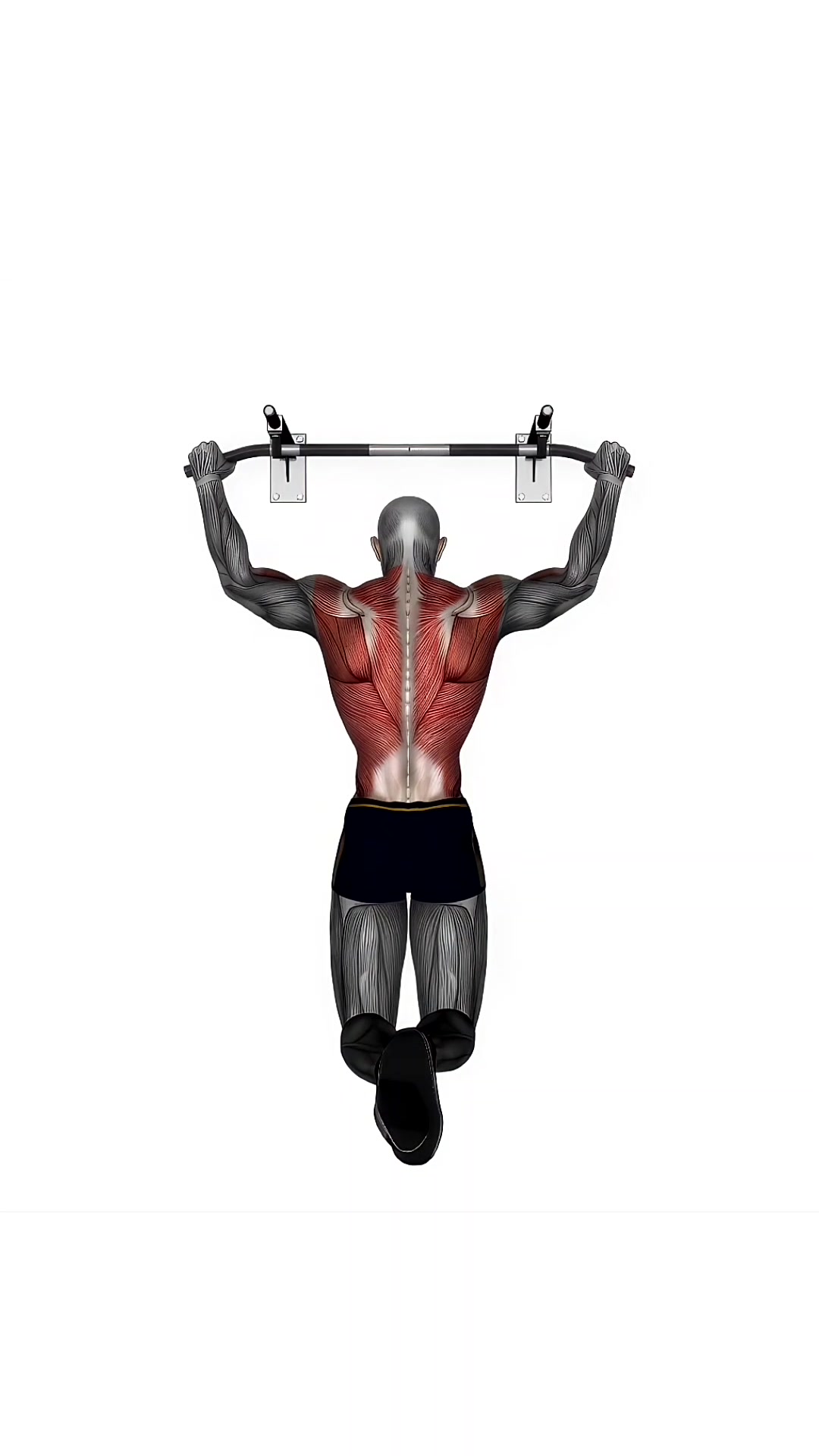 Pull Up Wide Grip