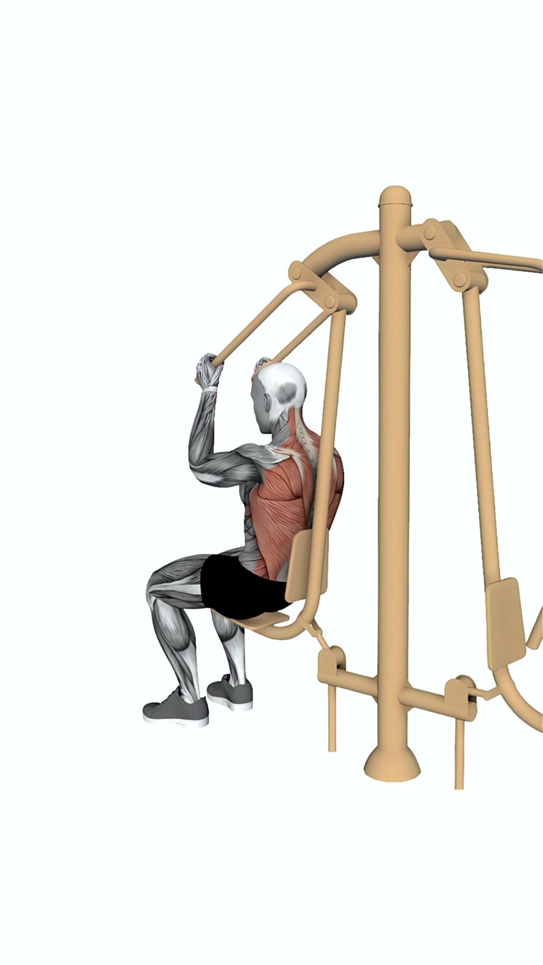 Push Pull Chair Over Head Pull