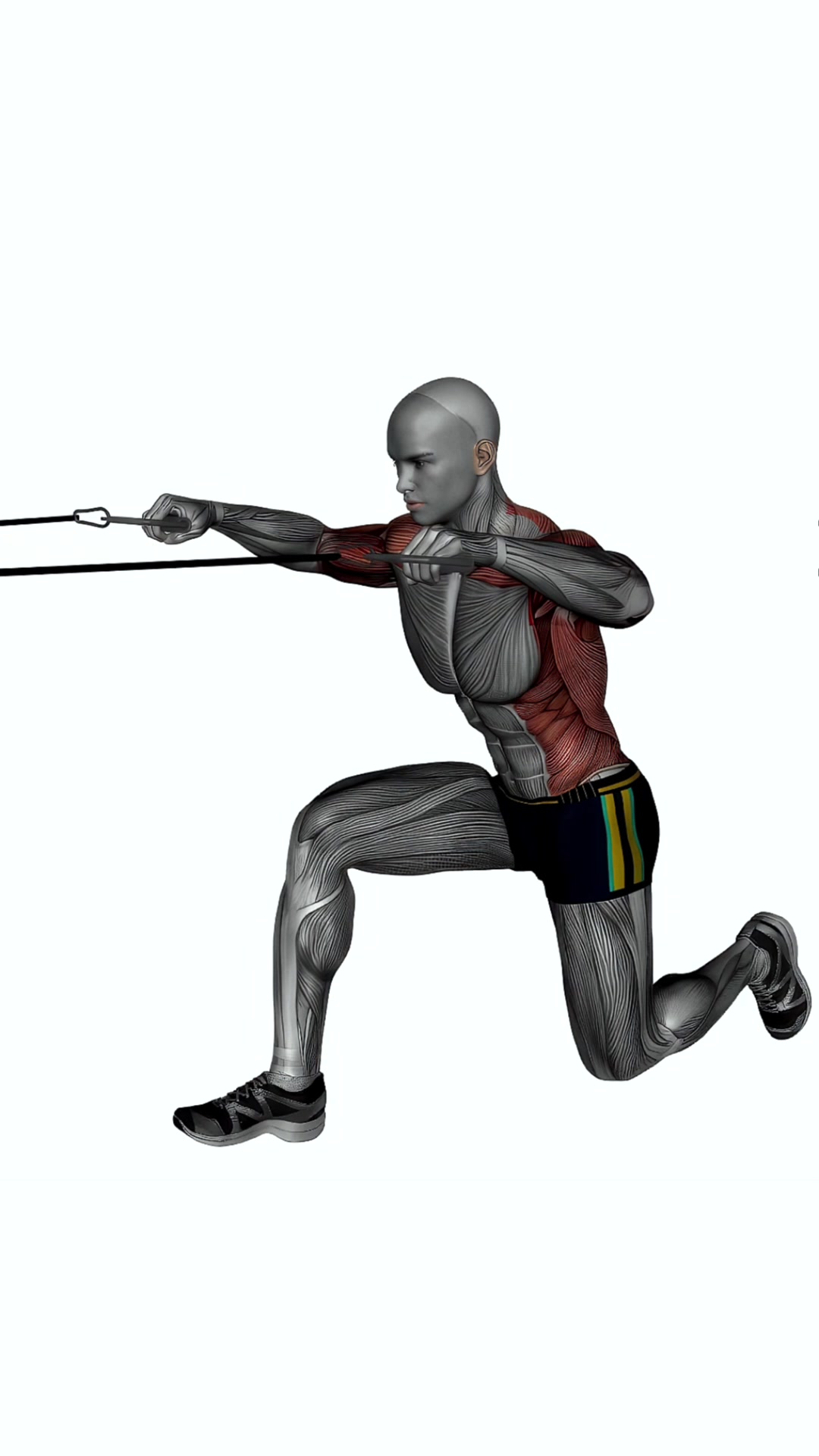 Resistance Band - Cable Row