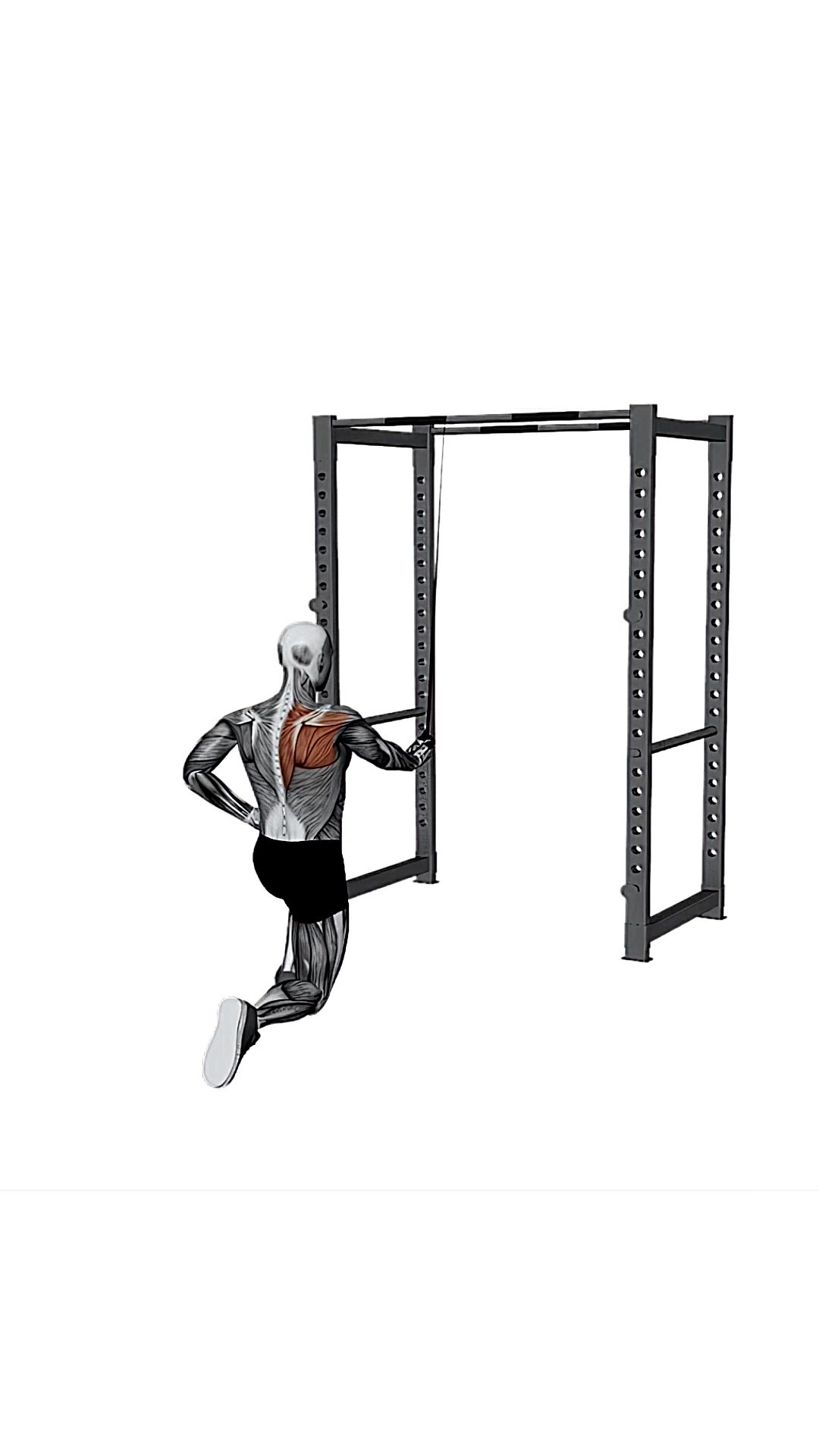 Resistance Band Kneeling Cross Body Single Straight Arm Supinated Pulldown