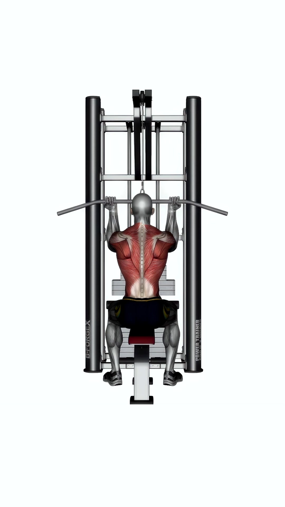 Reverse Grip Lat Pull Down