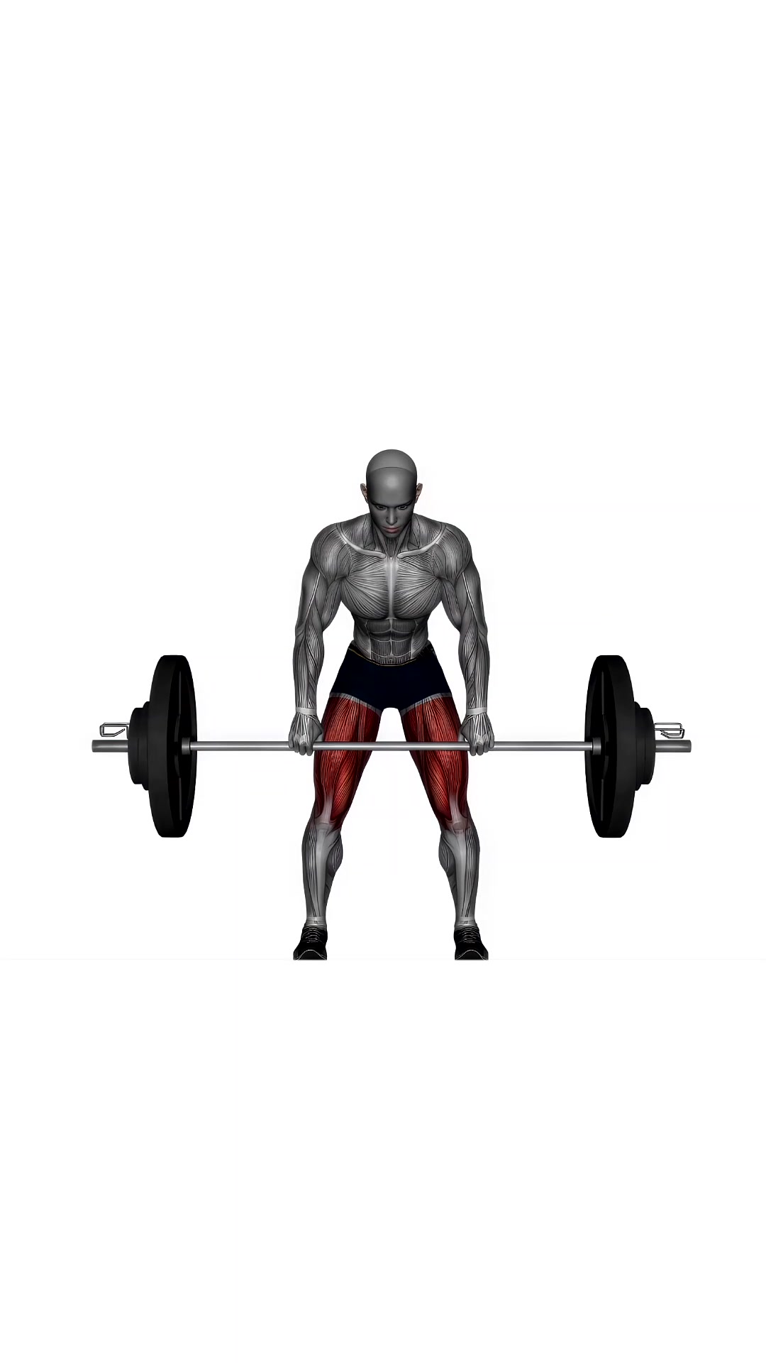 Romanian Deadlift Barbell