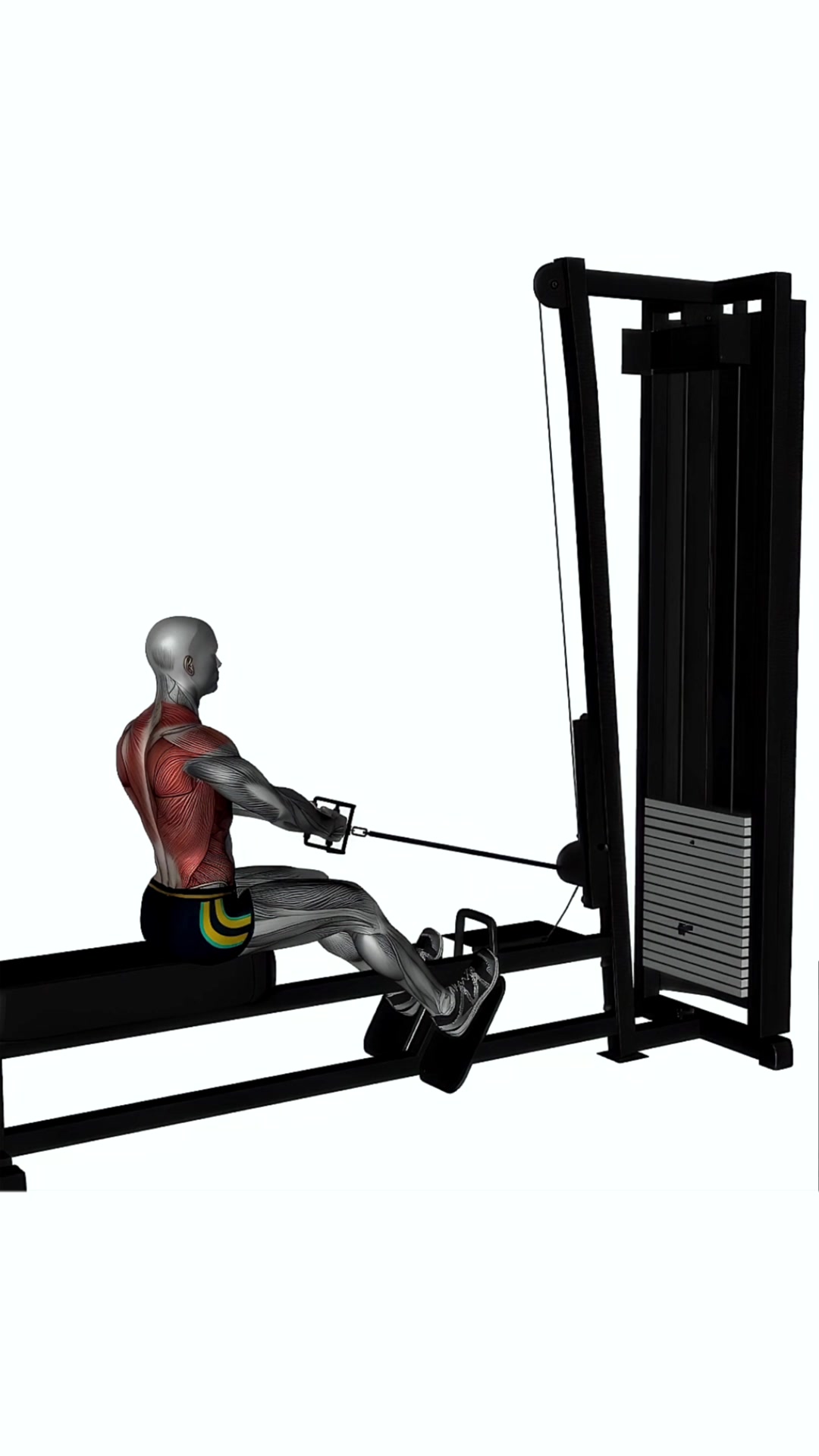 Seated Cable Row V Bar Machine