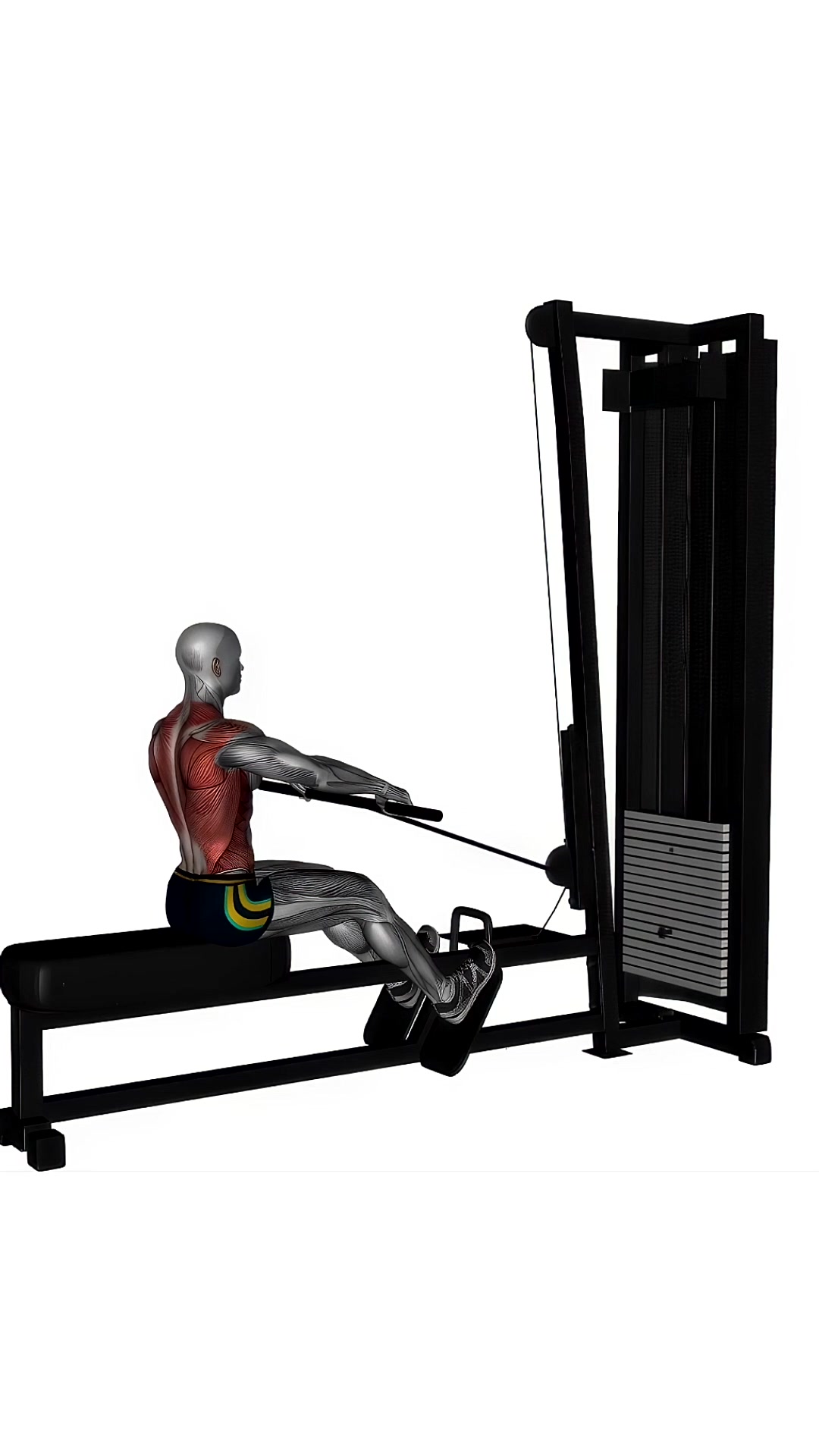 Seated Normal Grip Row Machine