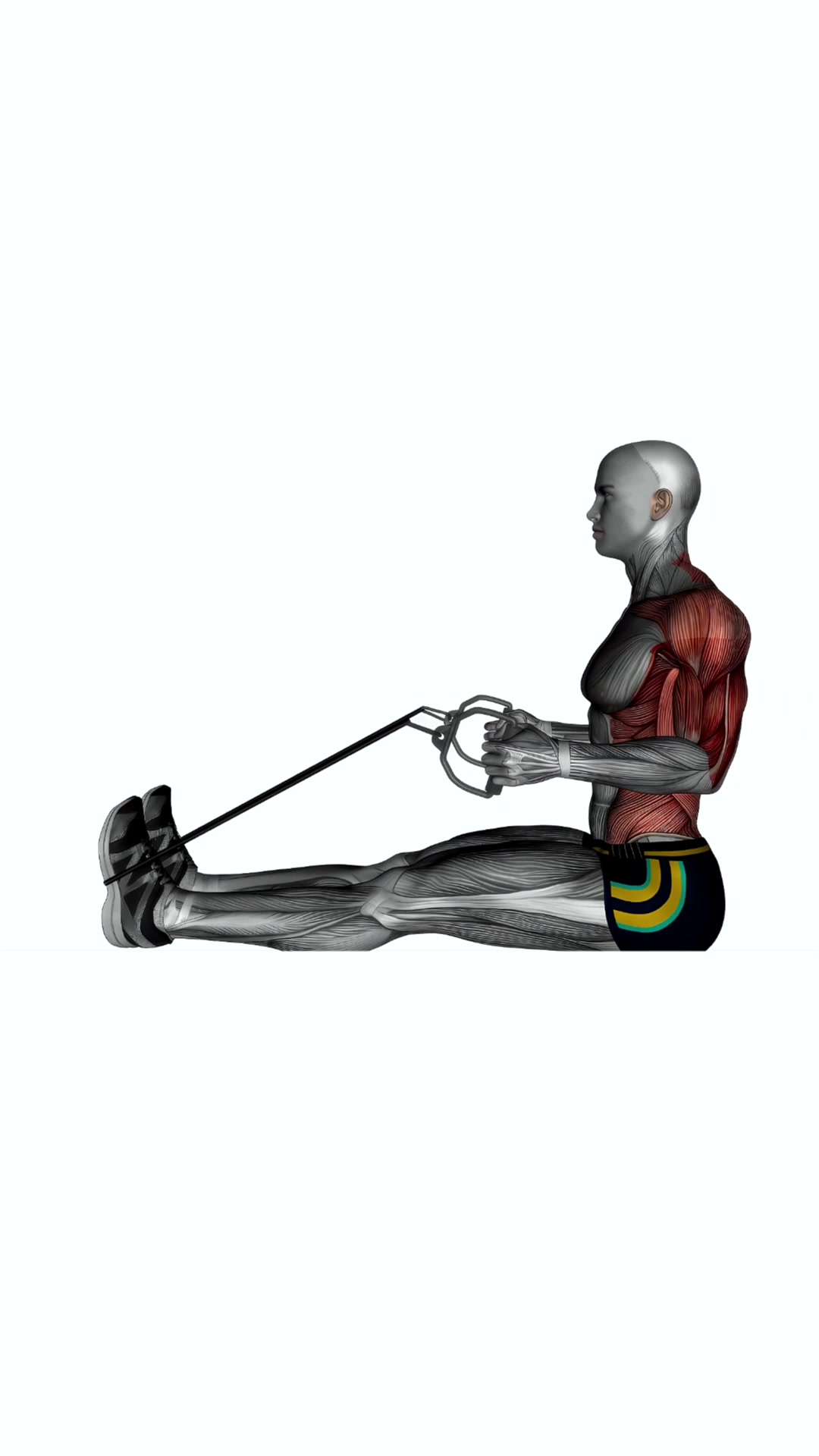 Seated Resistance Band - Cable Rows