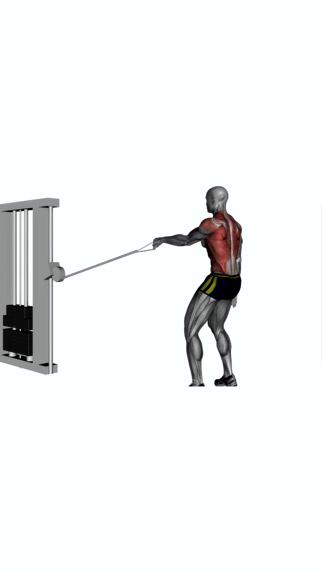Single Arm Cable Row Left