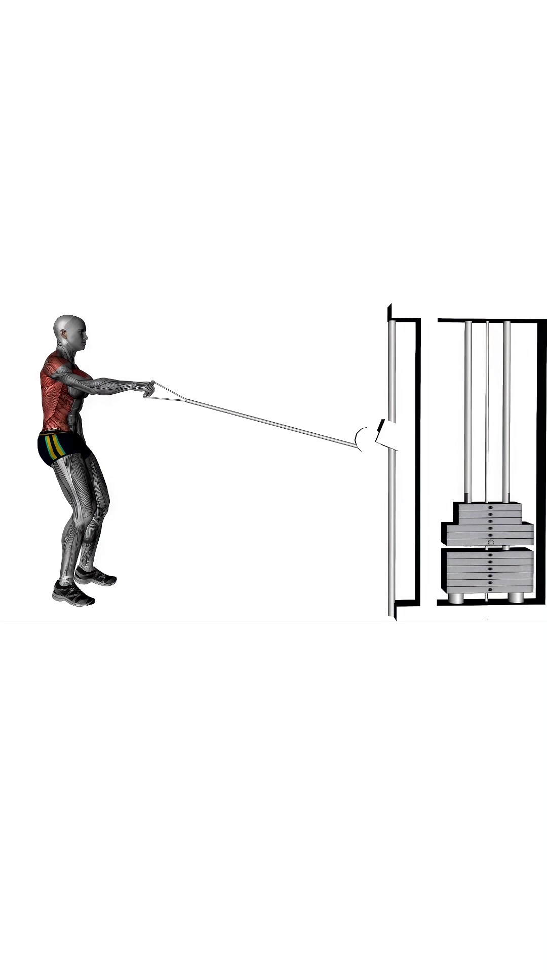 Single Arm Cable Row Right