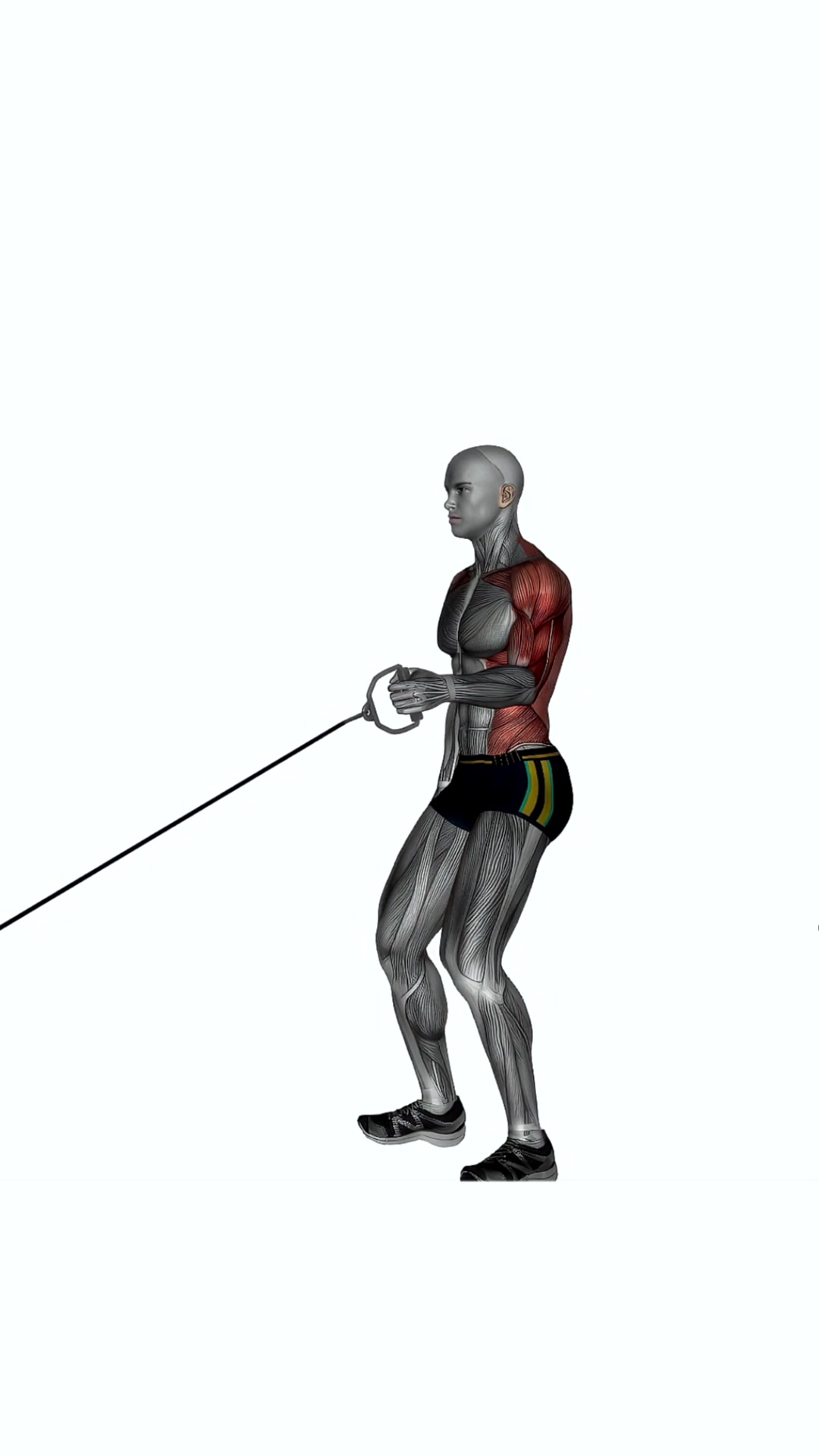 Single Arm Standing Low Cable Row
