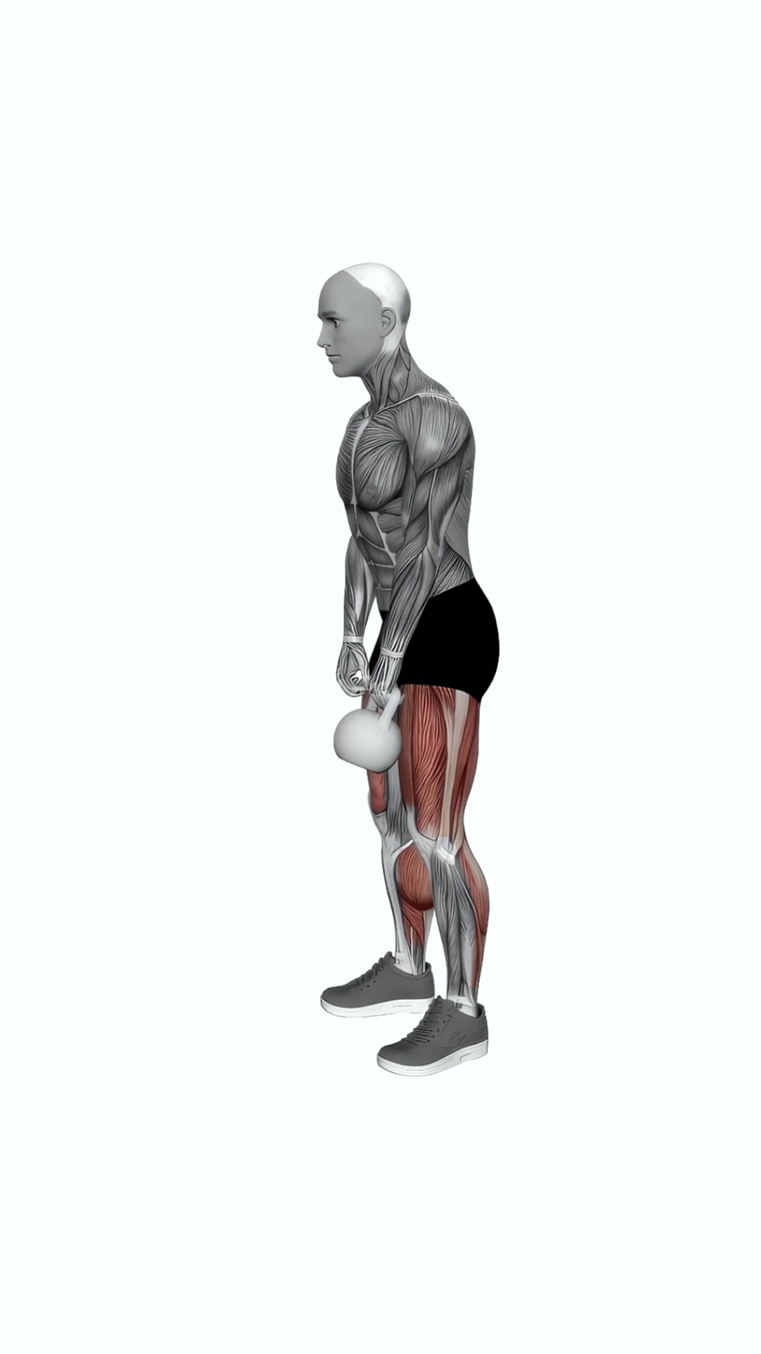 Single Kettlebell Deadlift