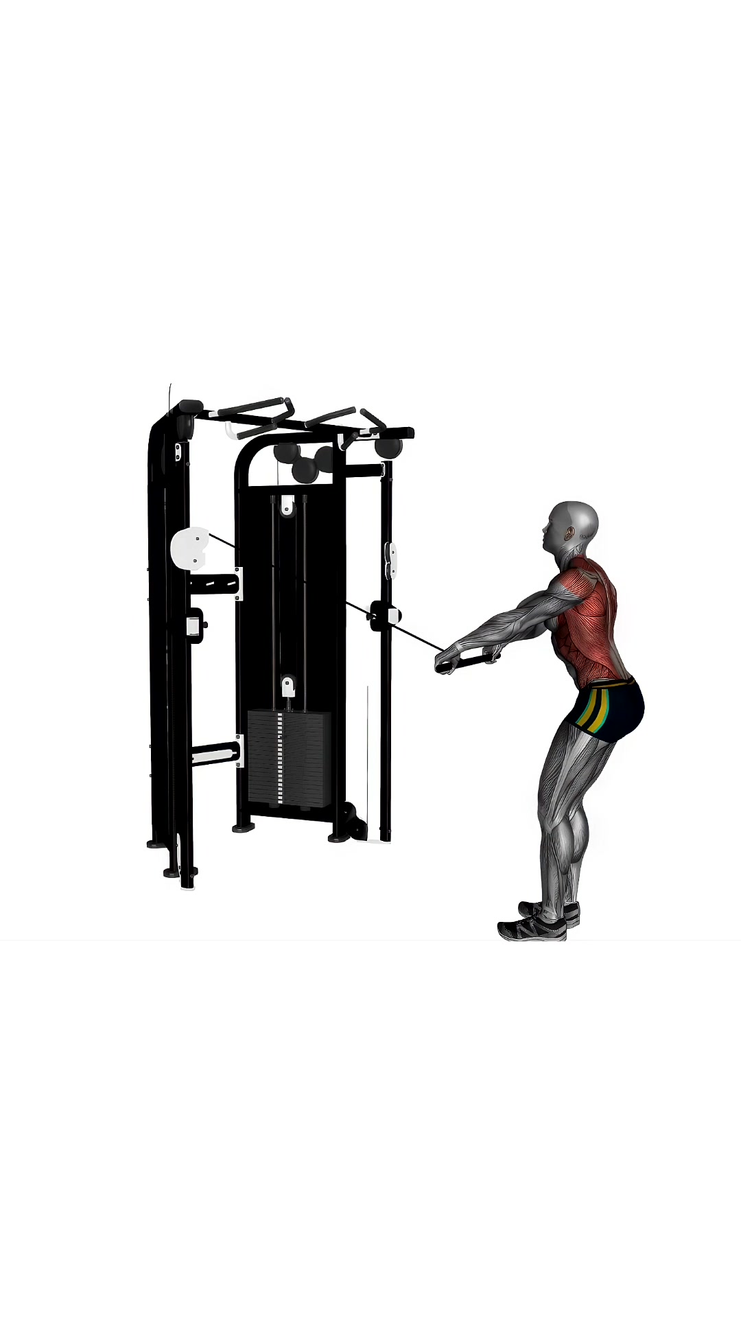 Standing Lat Cable Pull Over