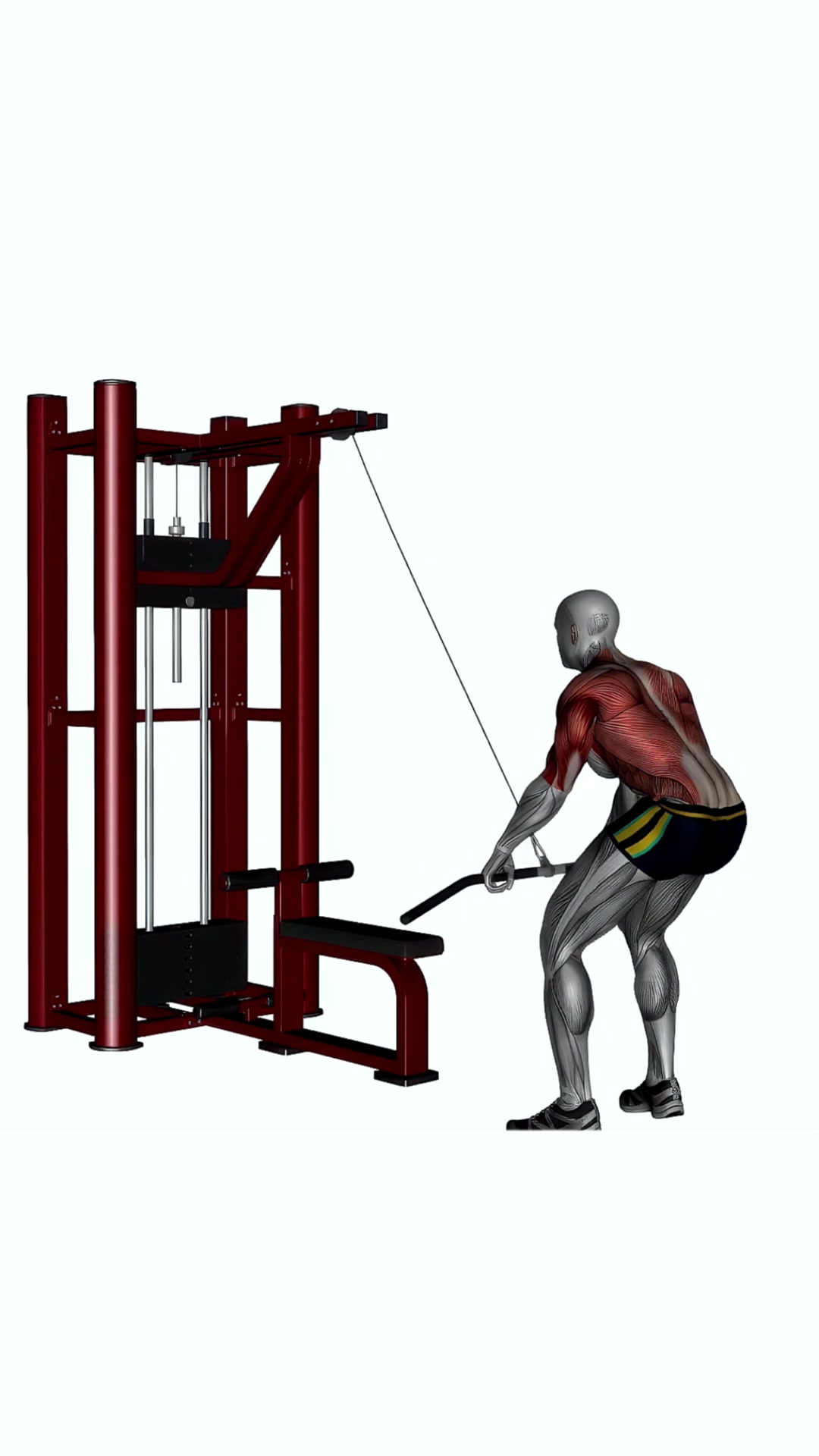 Straight Bar Cable Pull Down