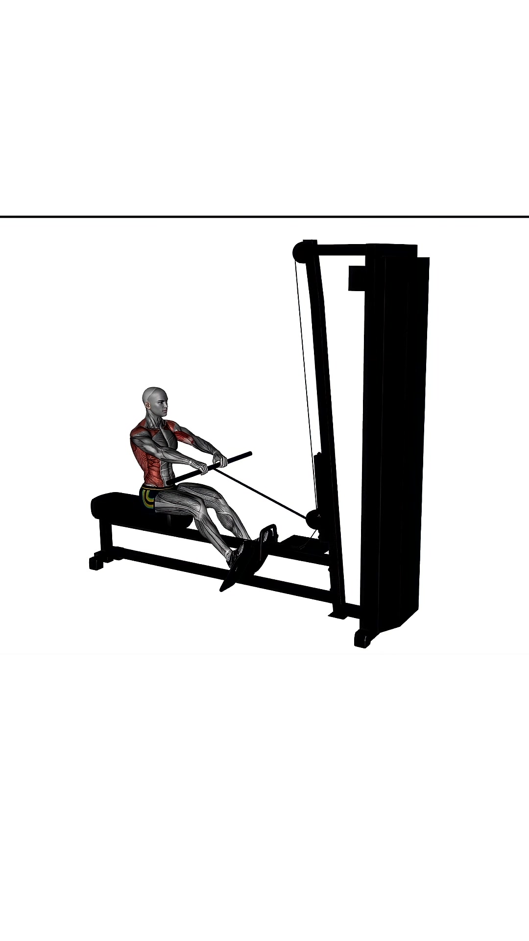 Straight Bar Cable Row Close Grip
