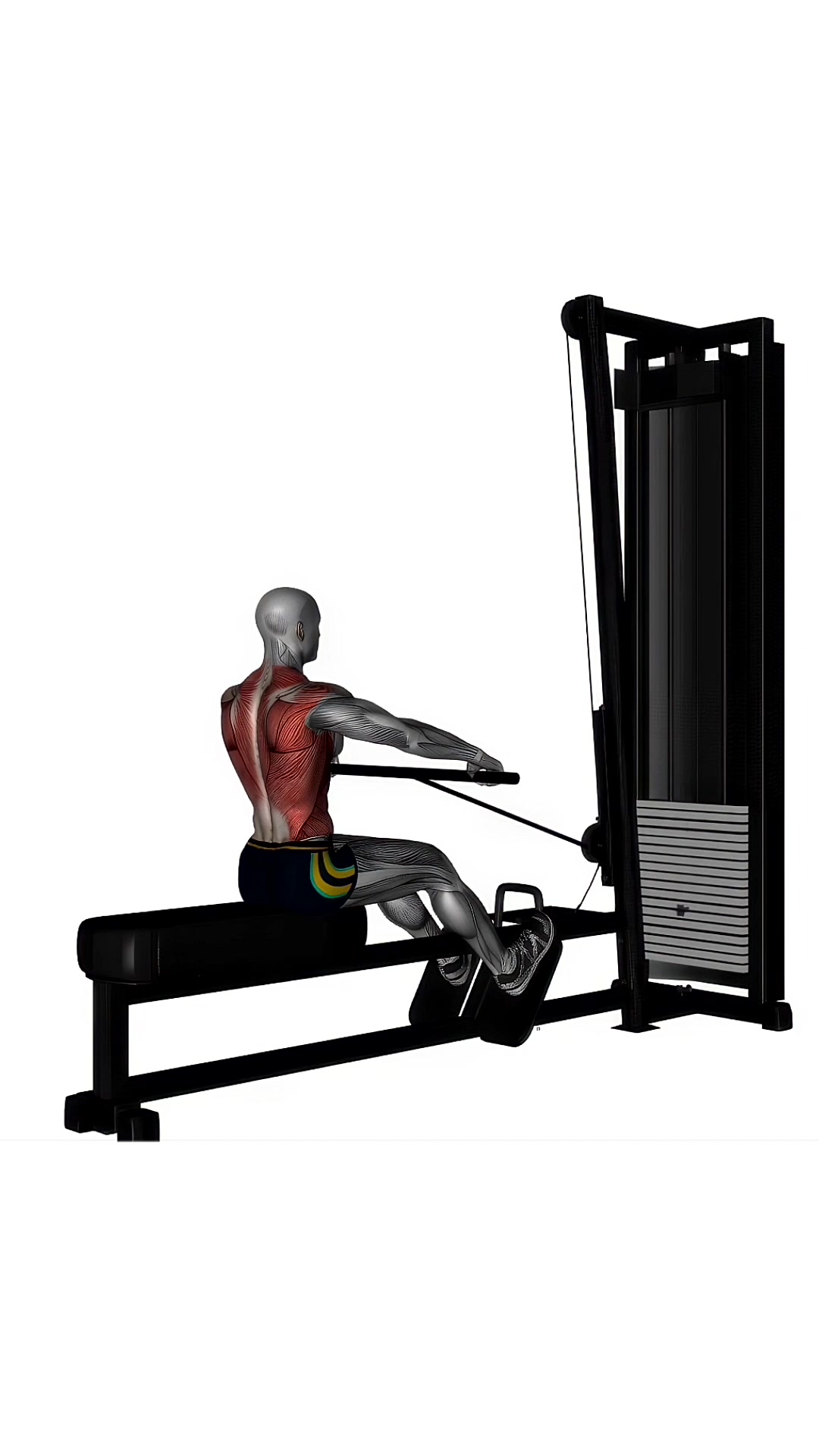 Straight Bar Cable Row Normal Grip