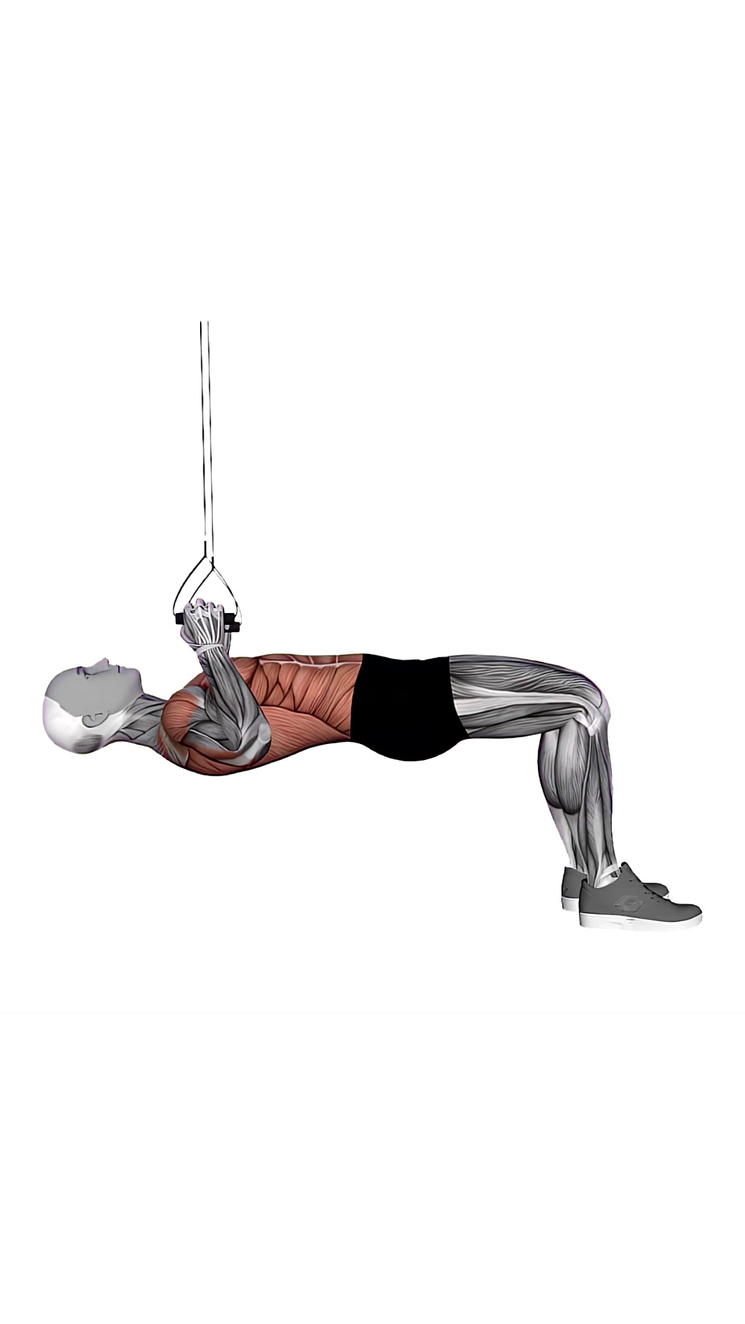 Suspension Trainer With Grips Bent Knee Inverted Row