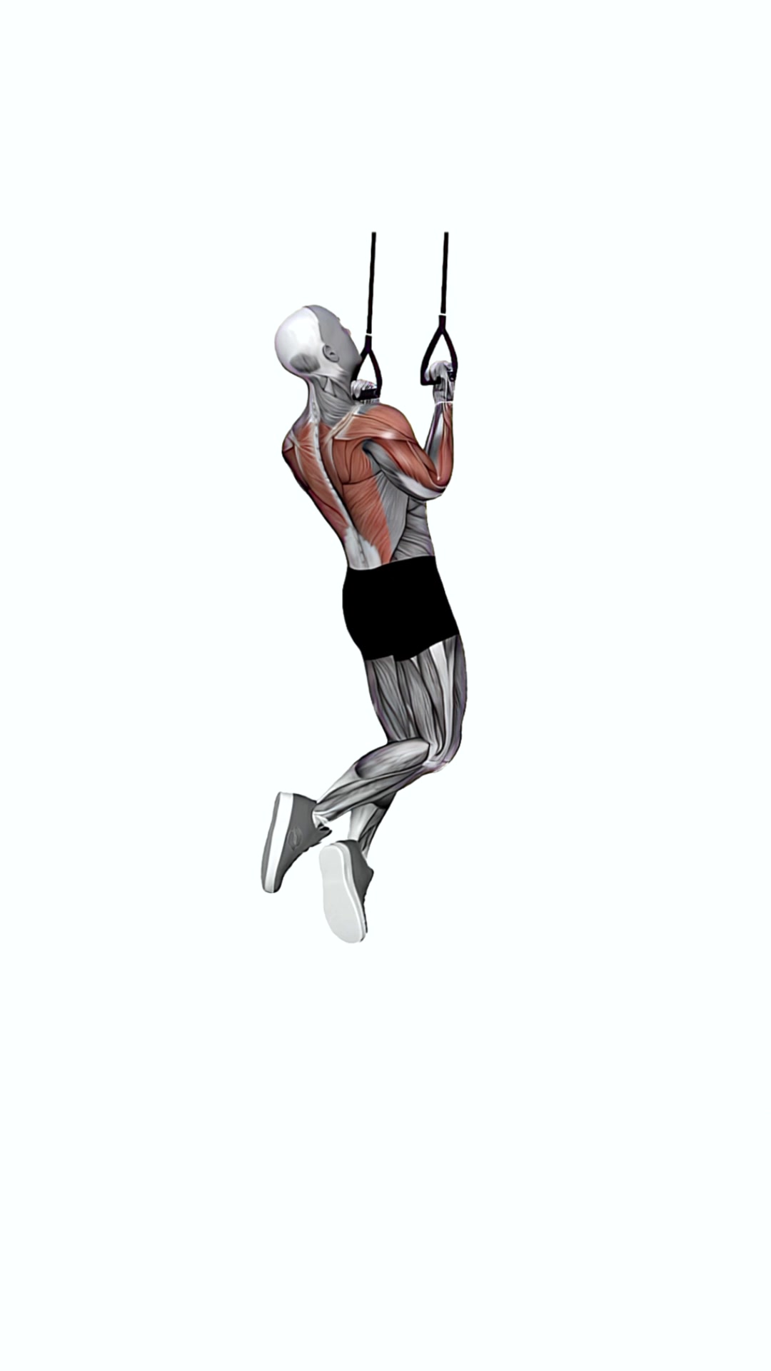 Suspension Trainer With Grips Chin-up