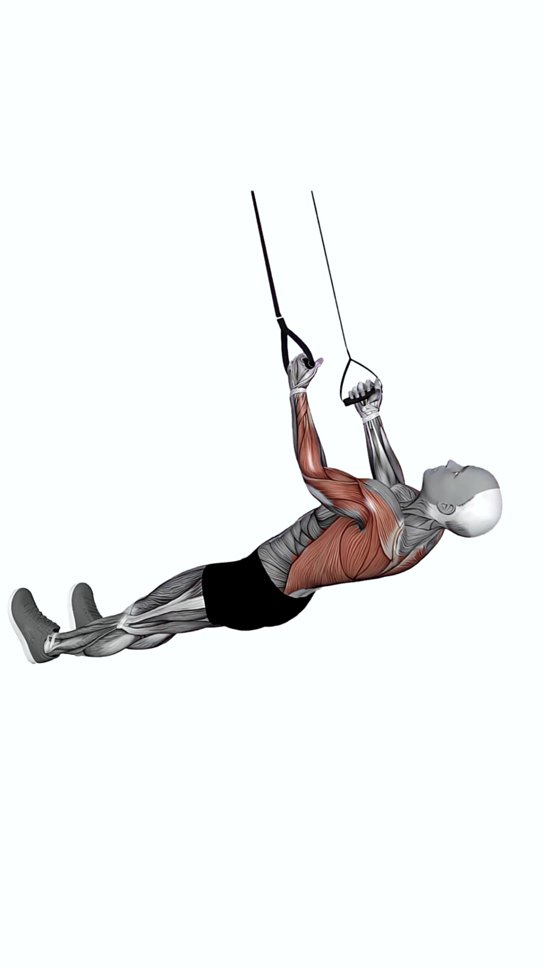 Suspension Trainer With Grips Inverted Row Arm Twist