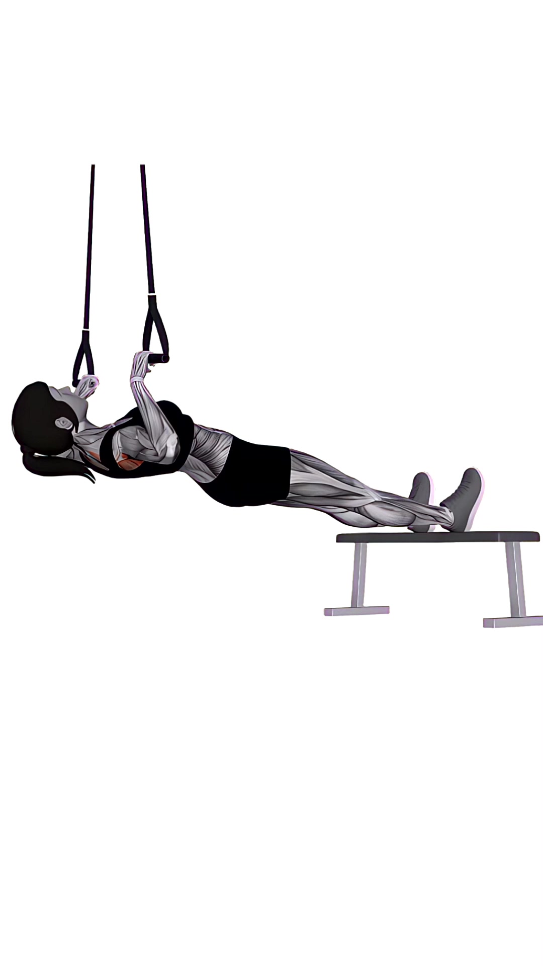 Suspension Trainer With Grips Inverted Row