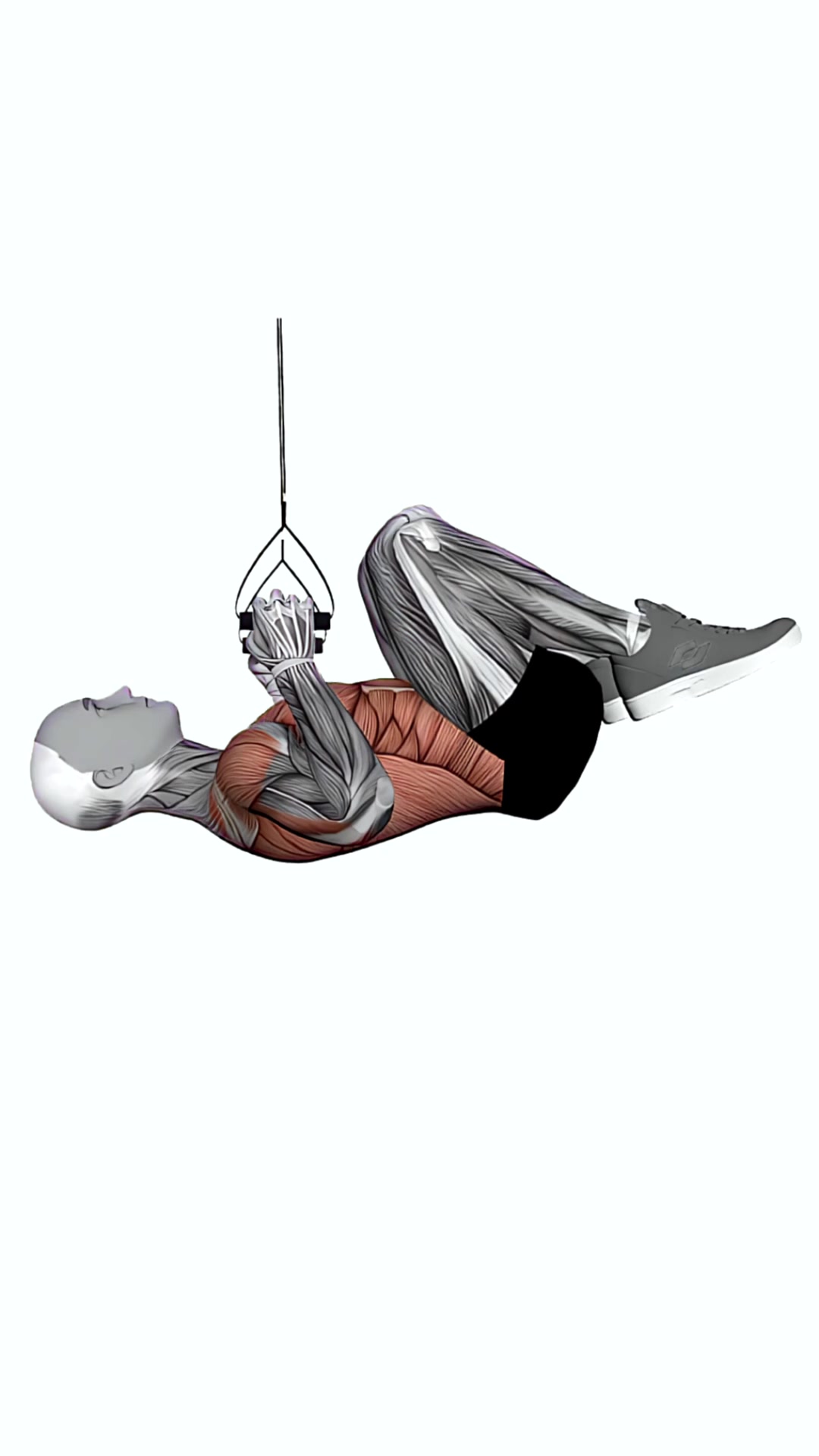 Suspension Trainer With Grips Knee Tuck Row