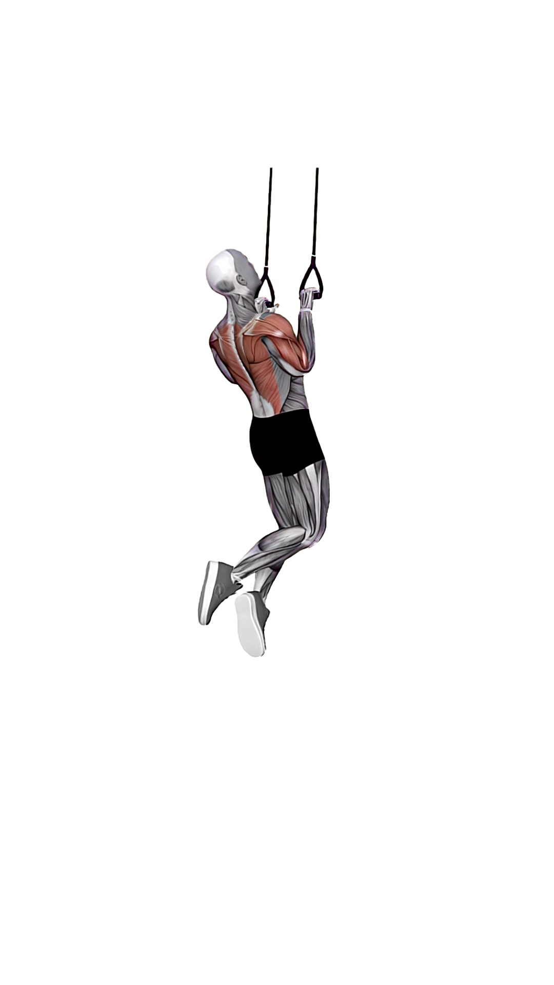 Suspension Trainer With Grips Pull-up