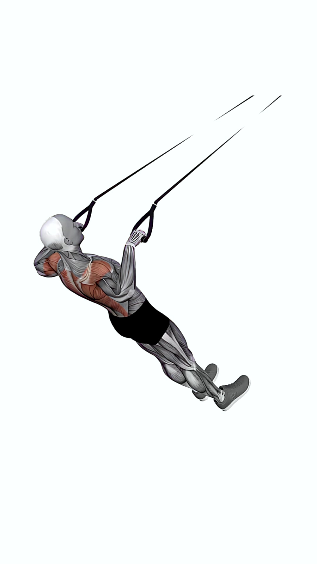 Suspension Trainer With Grips Wide Grip Inverted Row On Floor 1