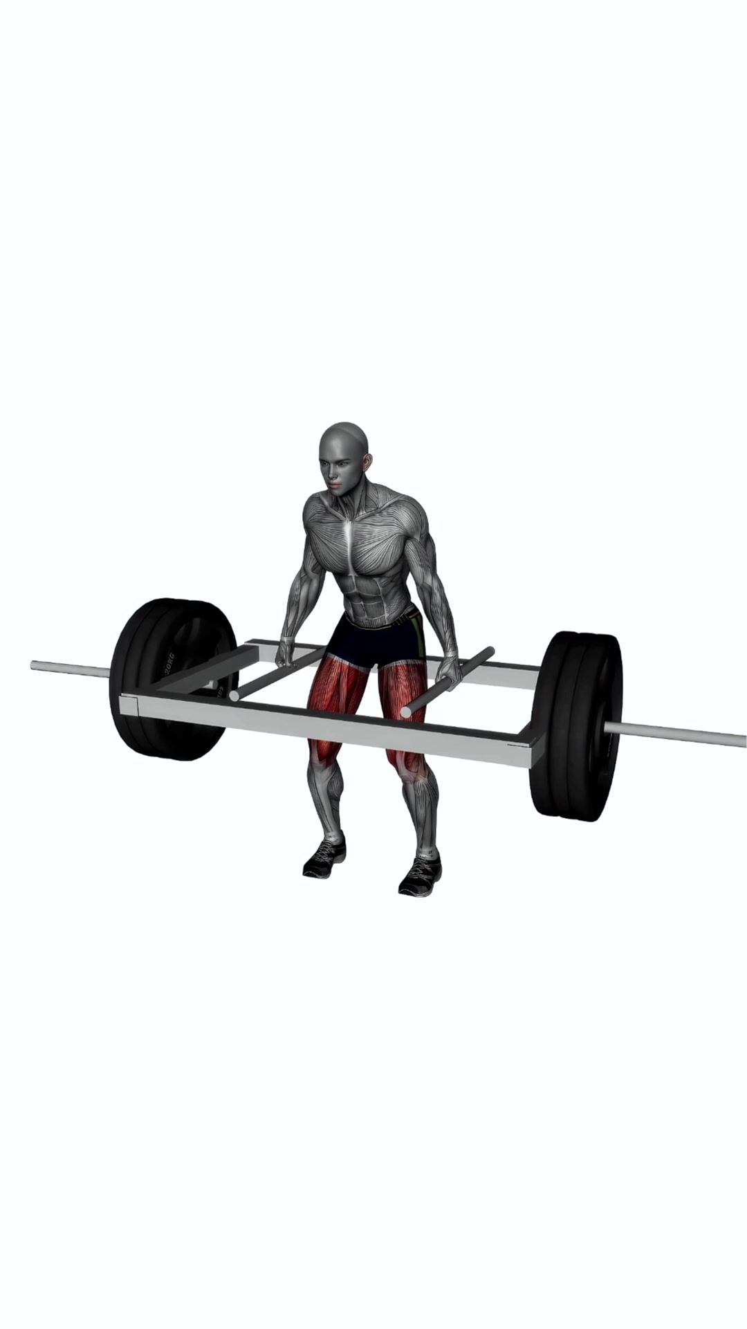 Trap Bar Deadlift