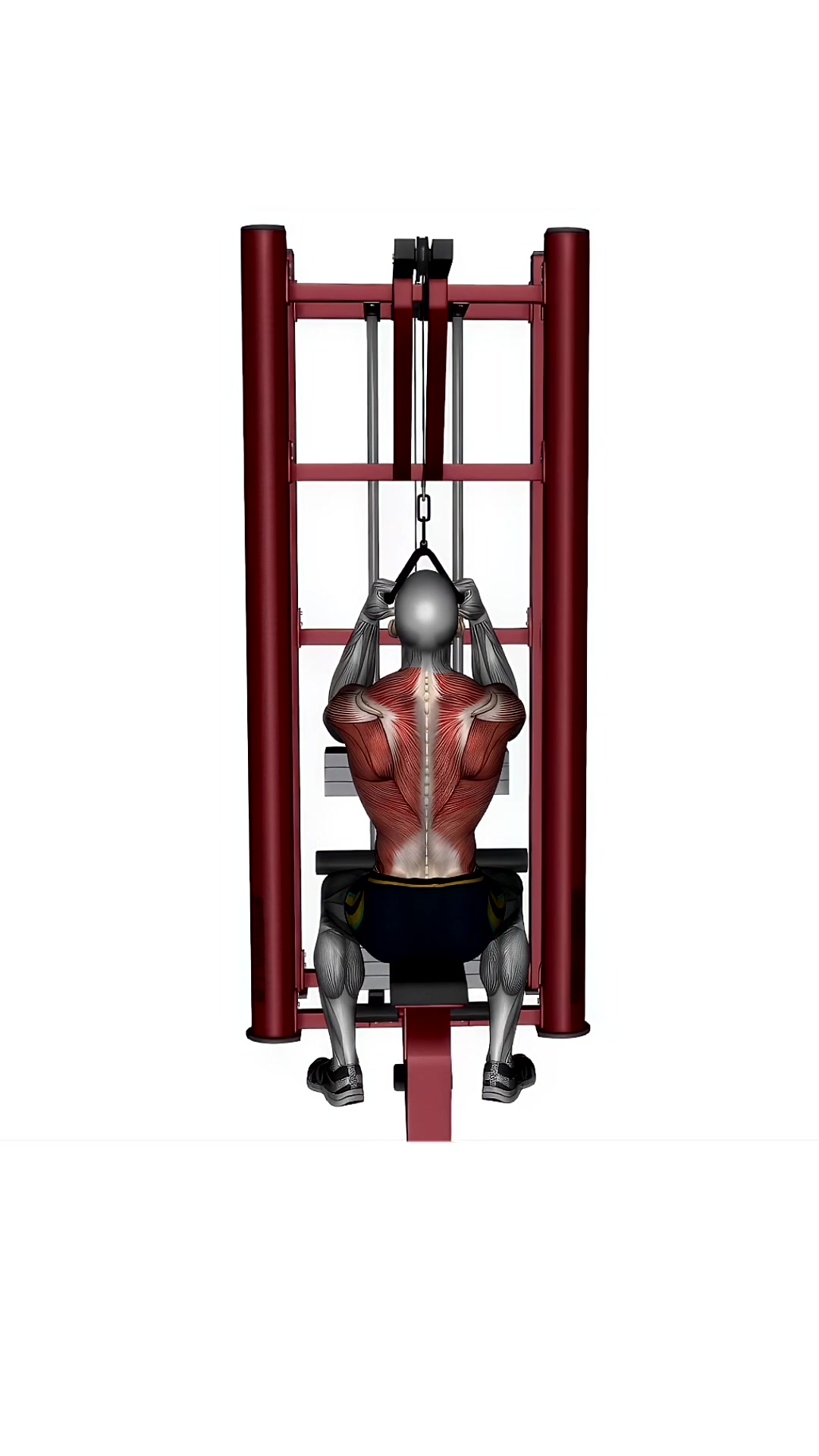 V Bar Lat Pull Down
