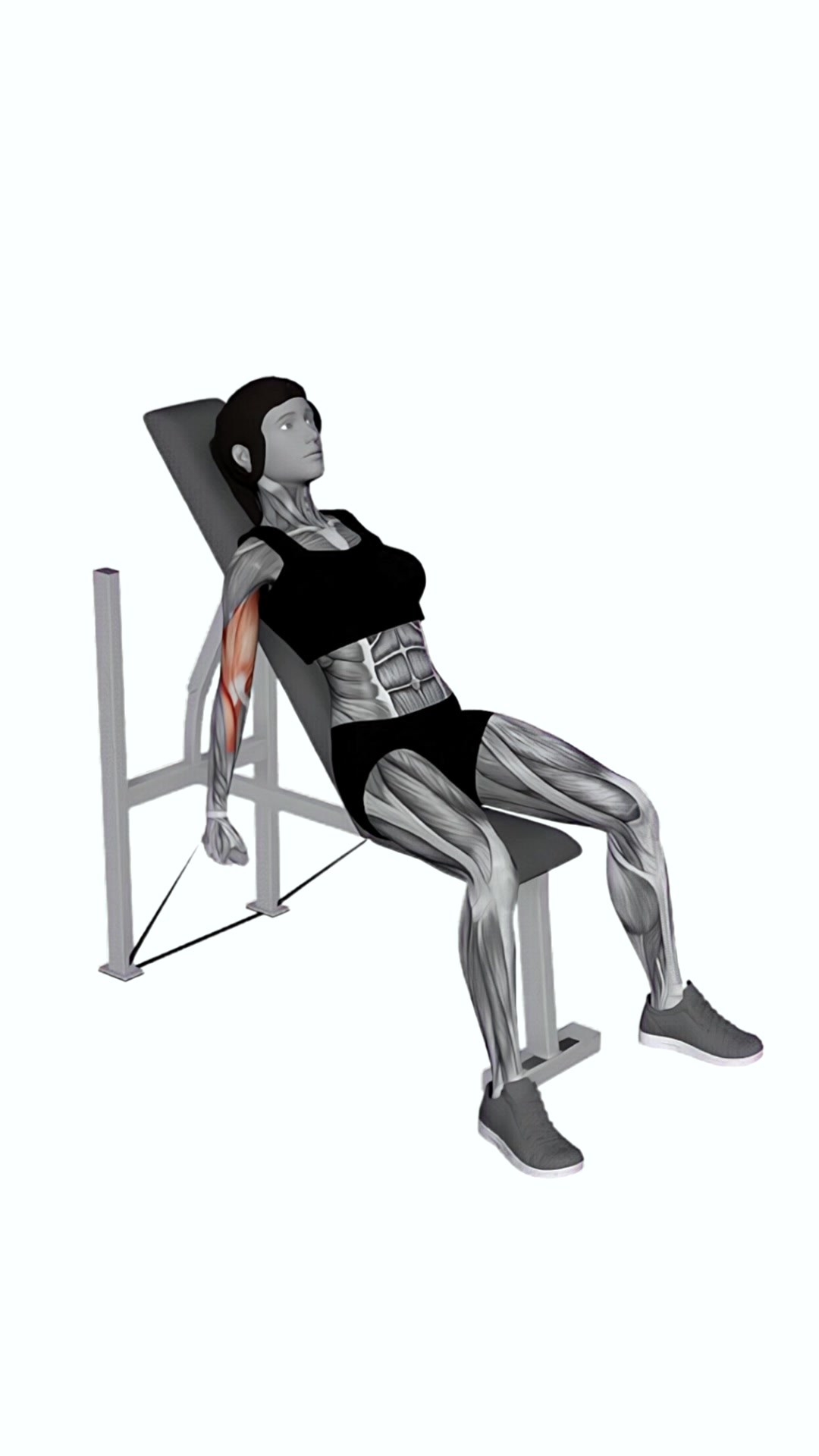 Band Incline Alternate Hammer Curl