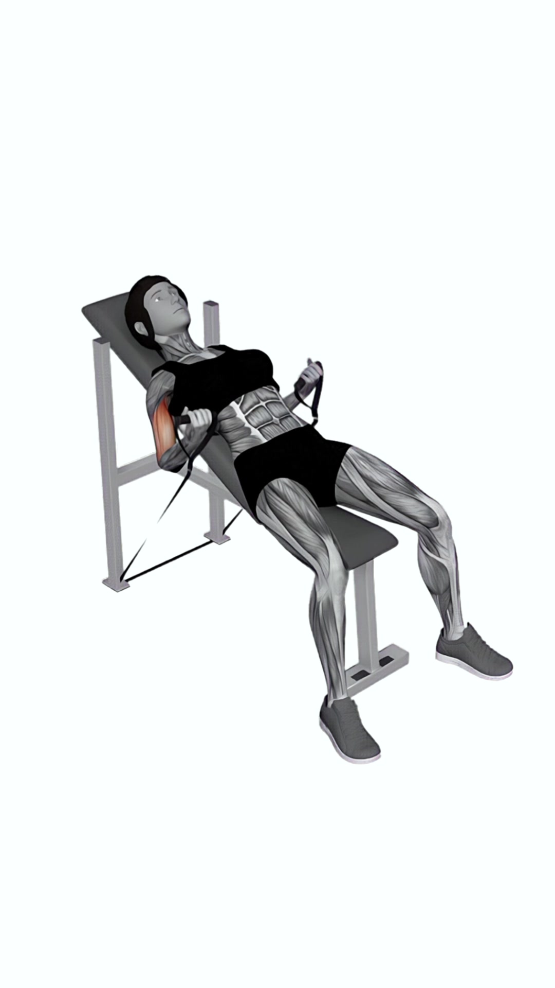 Band Incline Biceps Curl