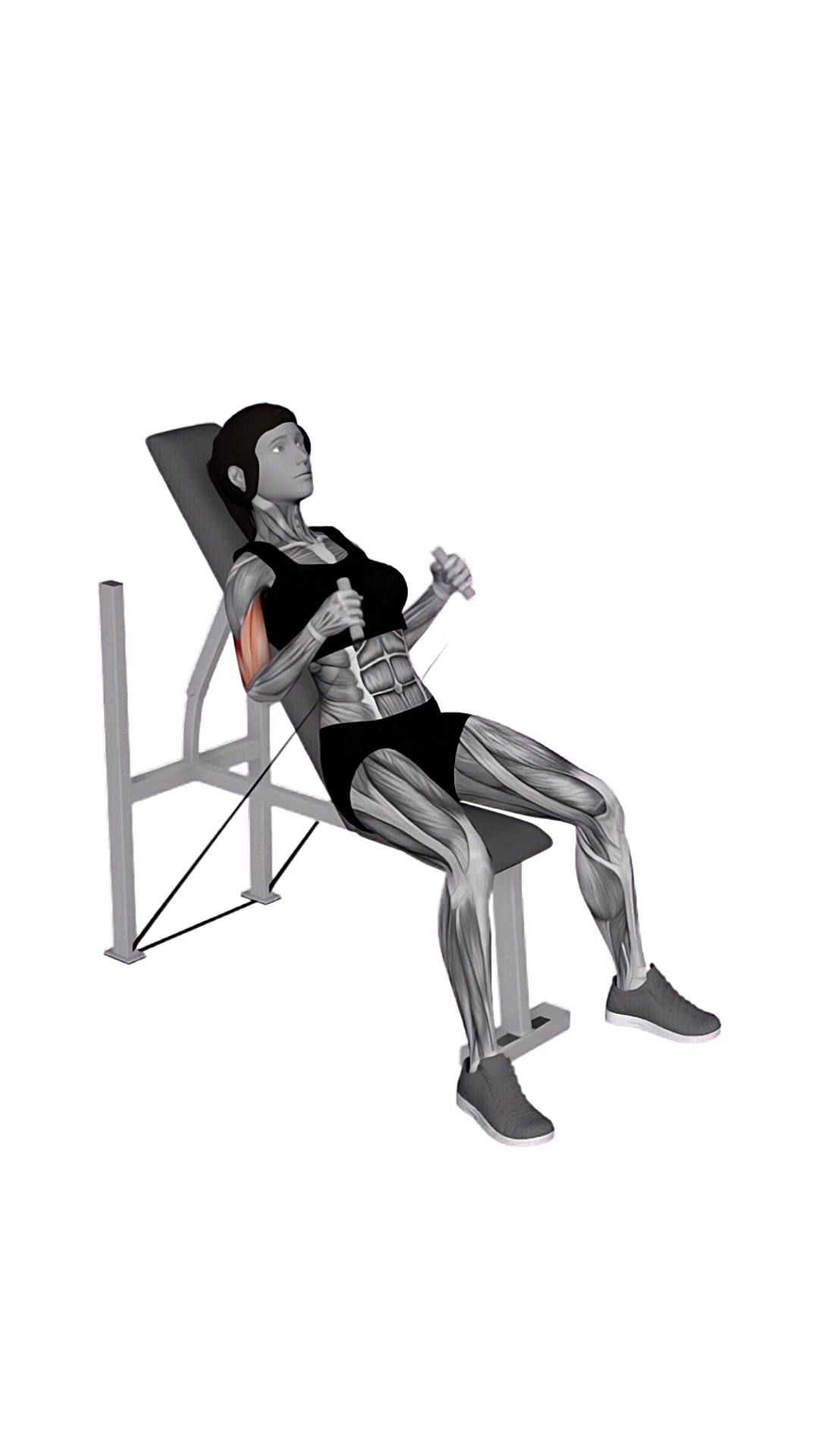 Band Incline Hammer Curl