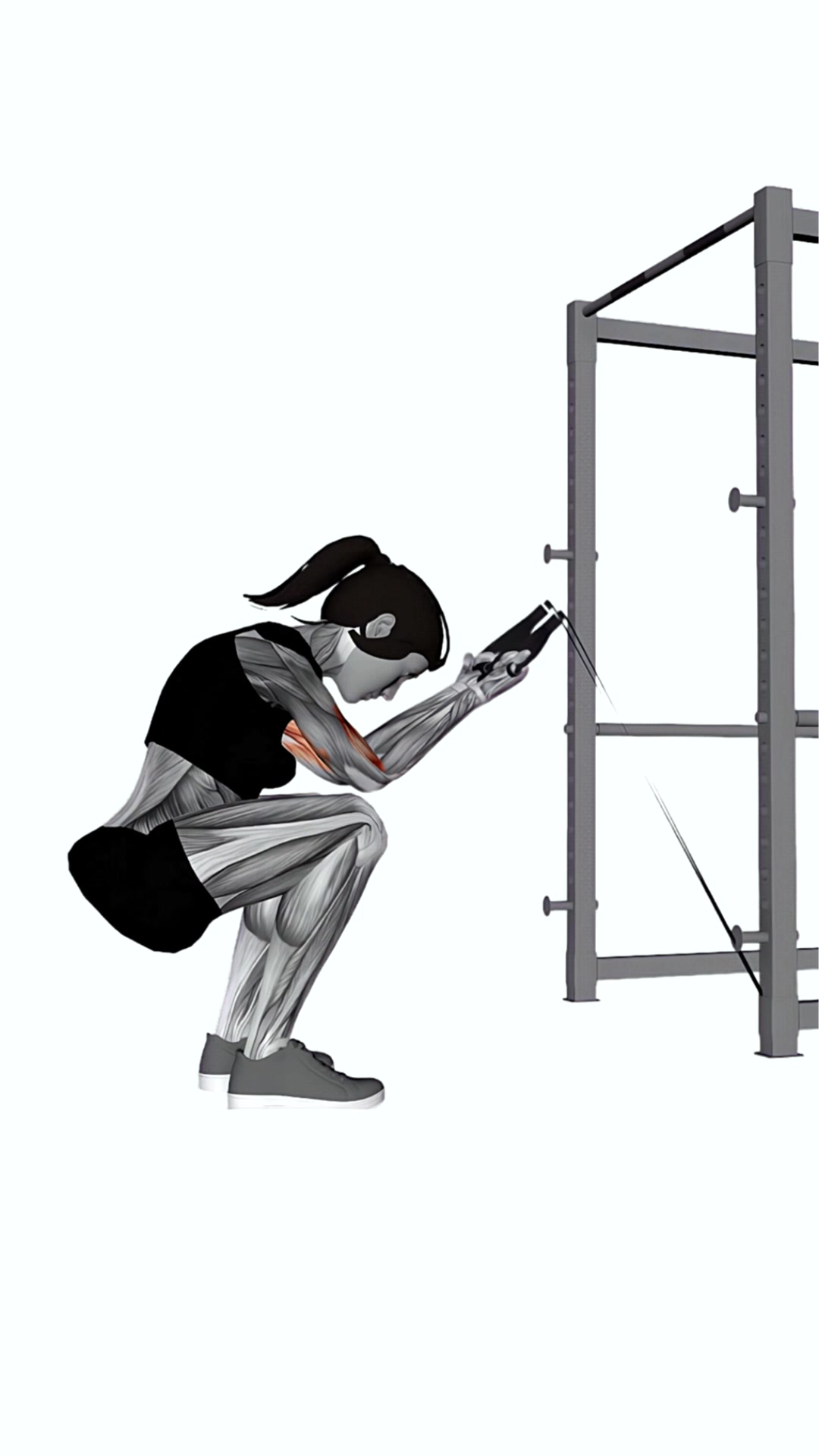 Band Kneeling Preacher Curl