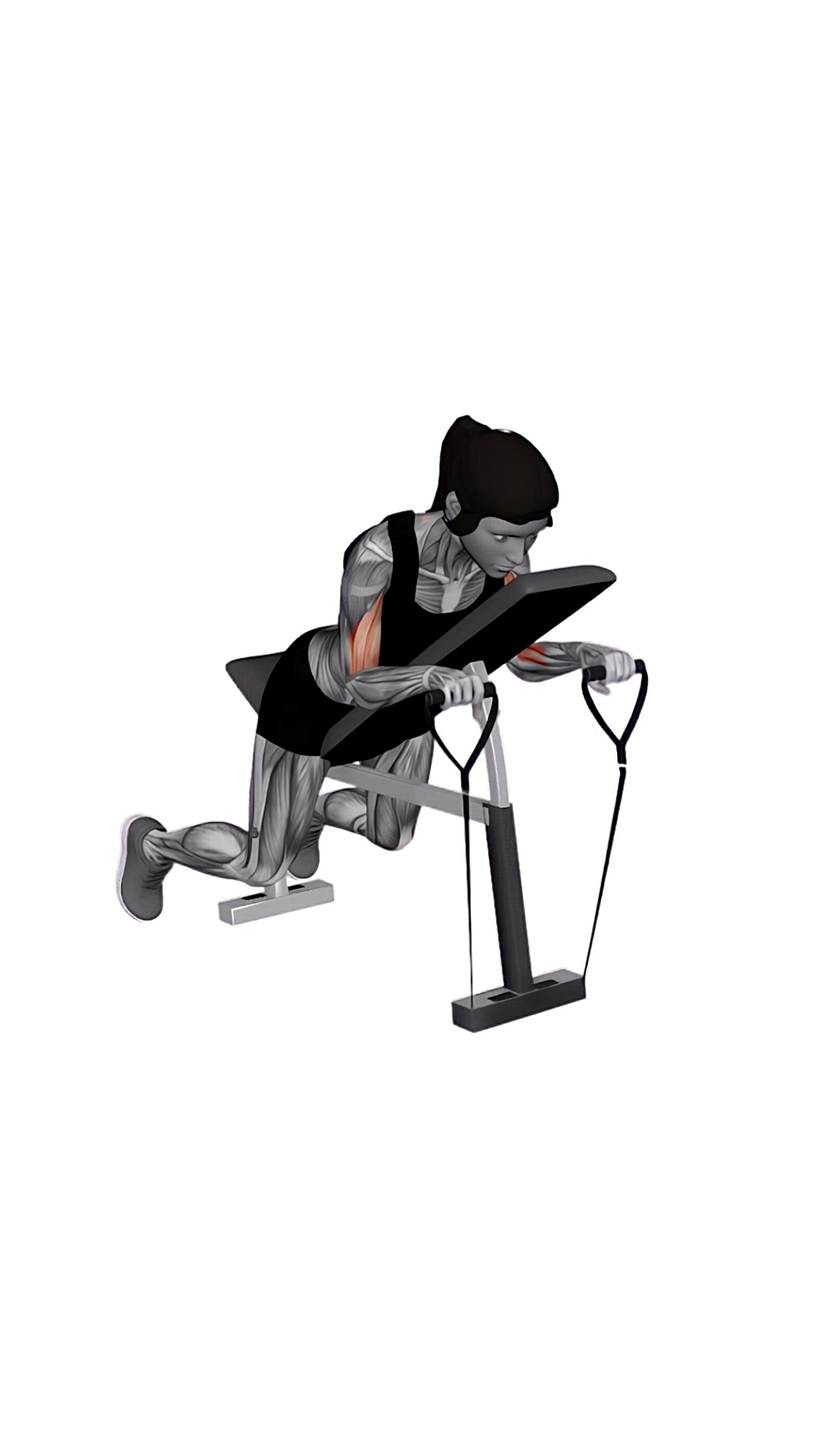 Band Reverse Spider Curl