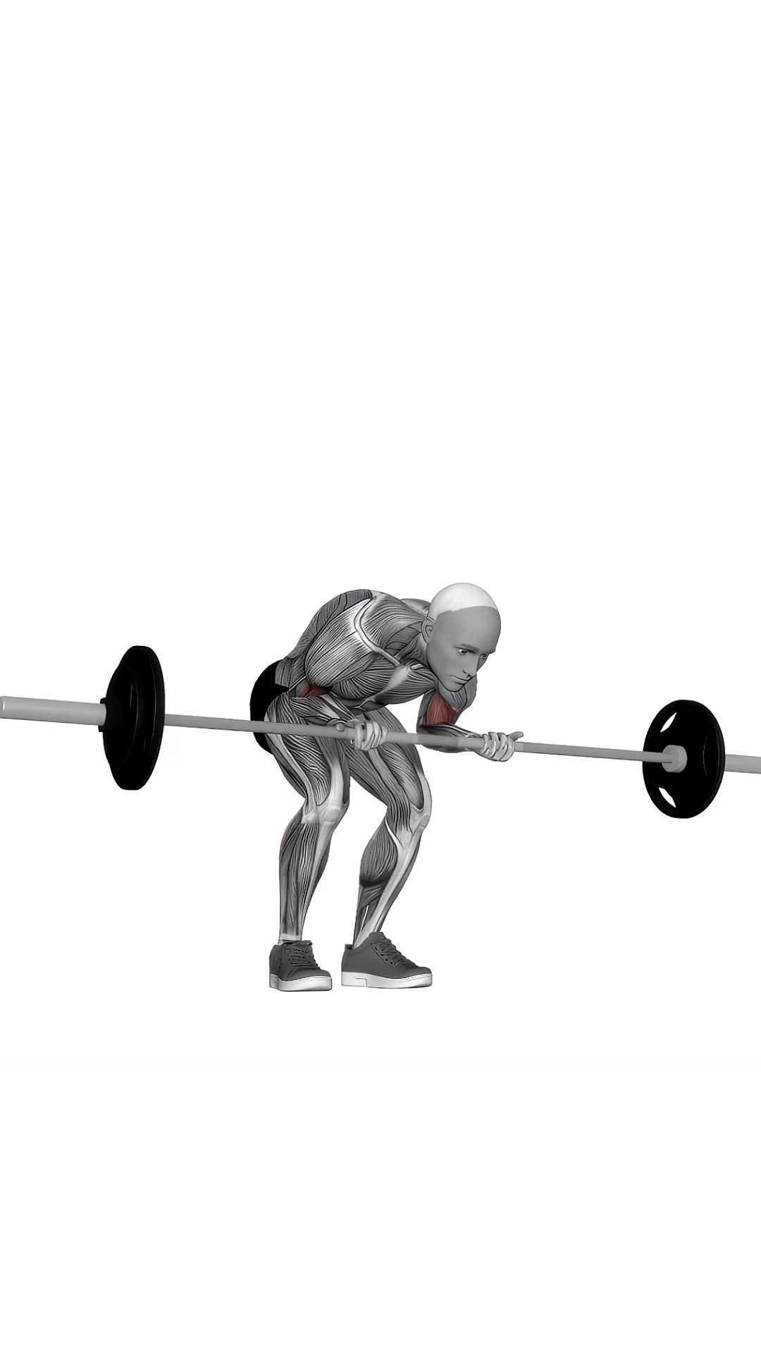 Barbell Standing Concentration Curl
