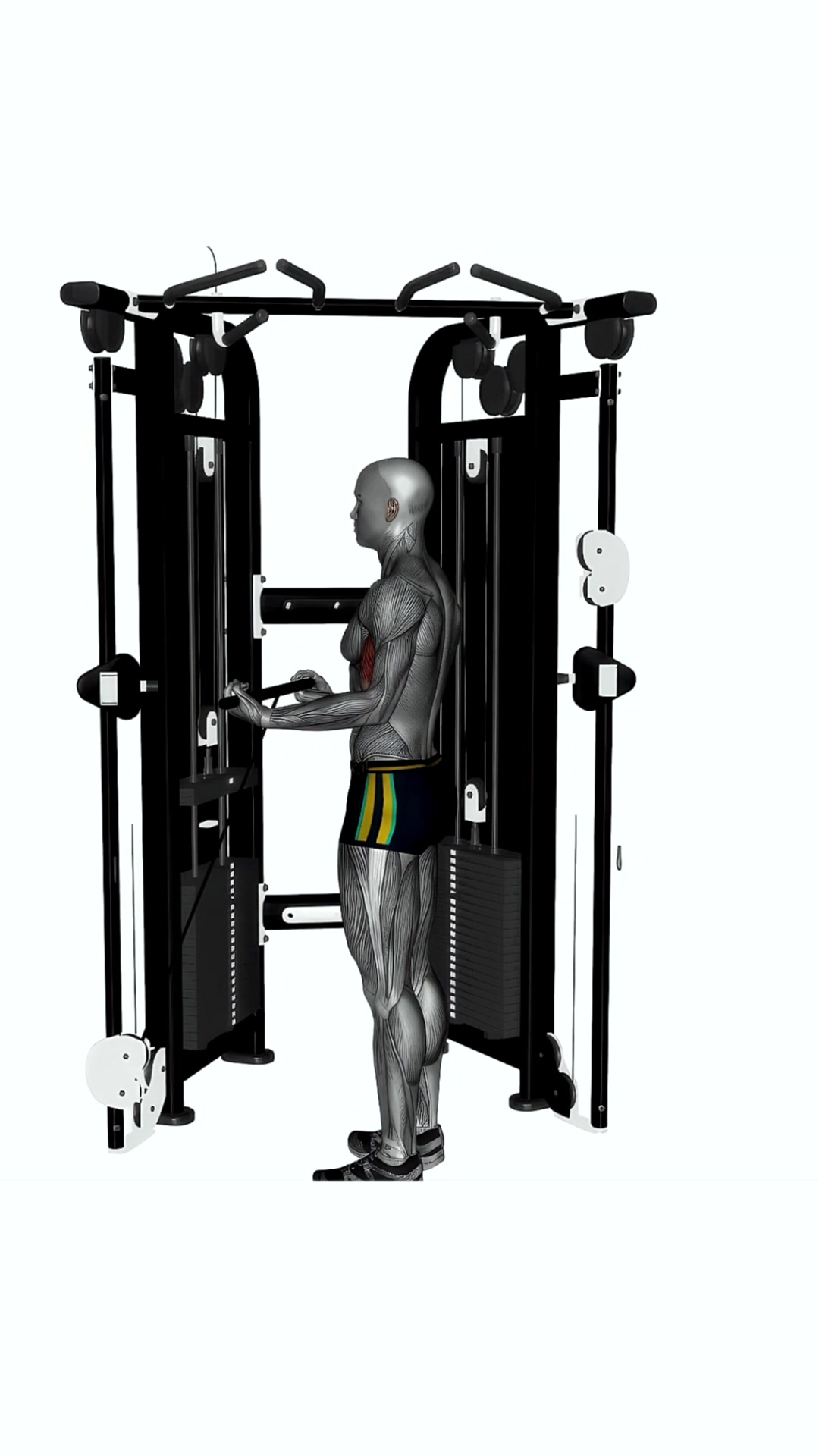 Biceps Curl Cable Wide Grip Crossover Machine