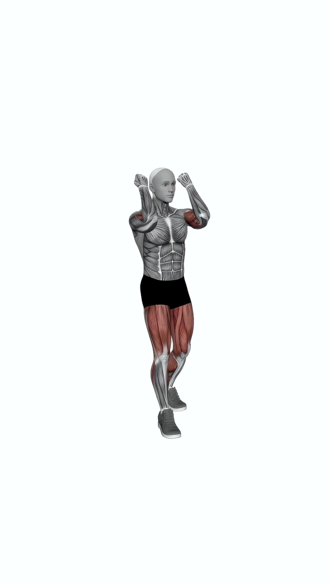 Biceps Curl Front Step