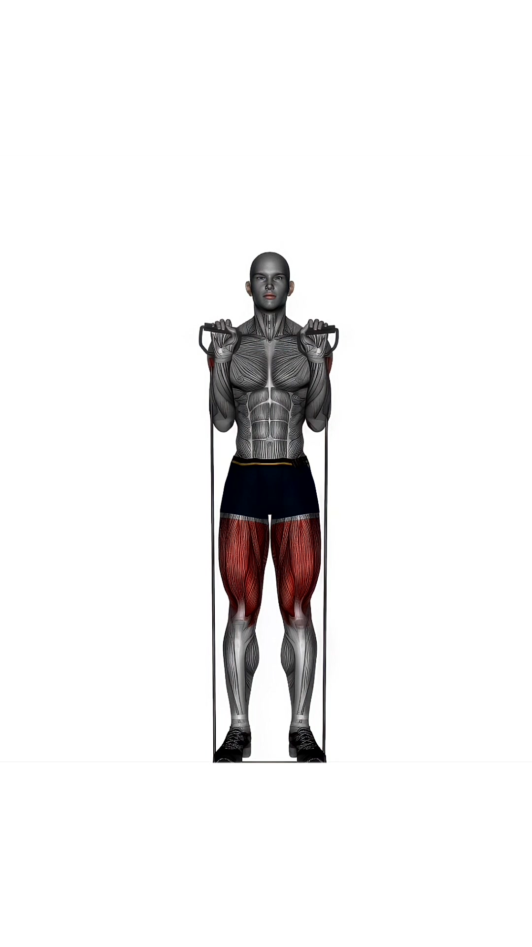 Biceps Curl To Shoulder Press Resistance Band